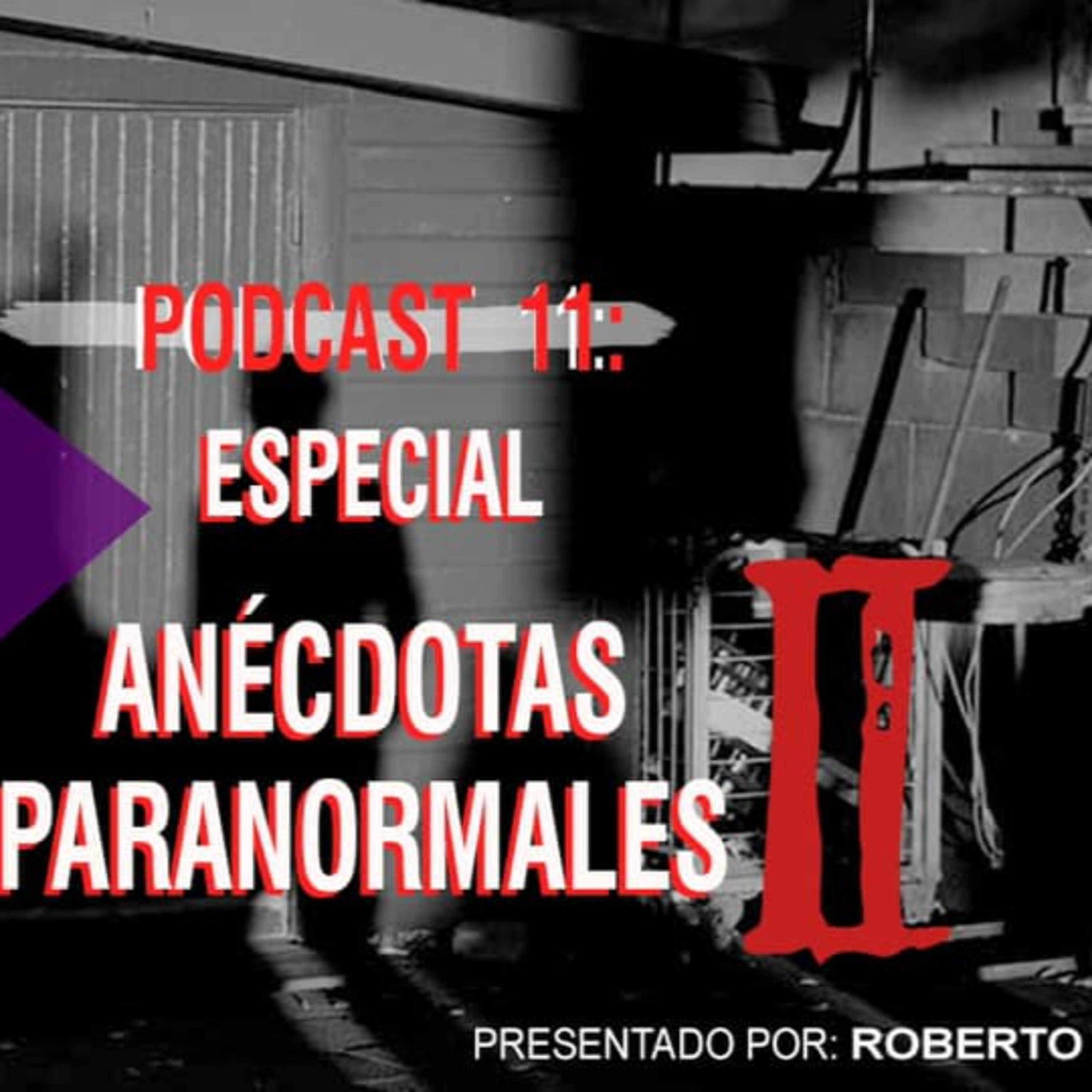 El Baúl Del Miedo