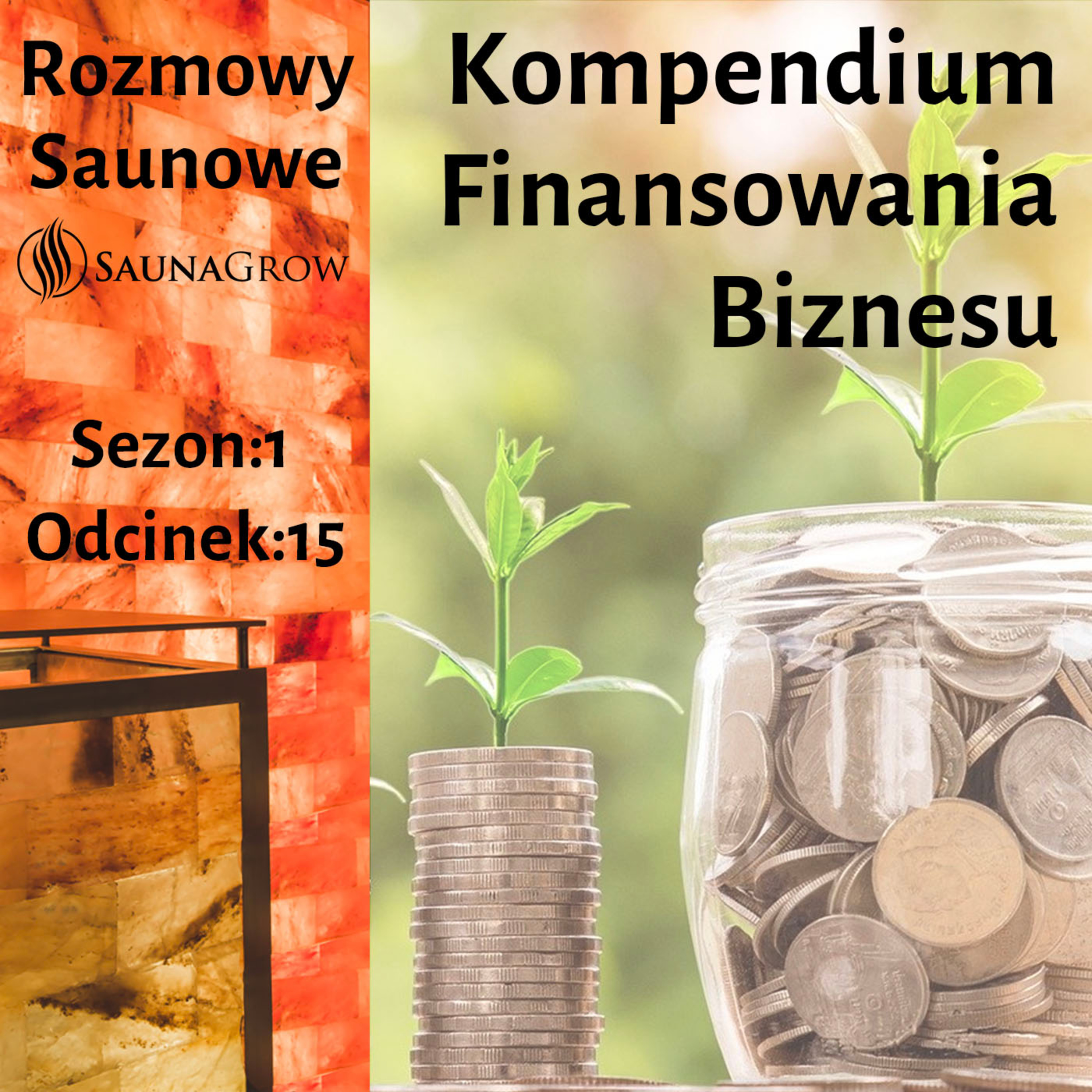 Rozmowy Saunowe