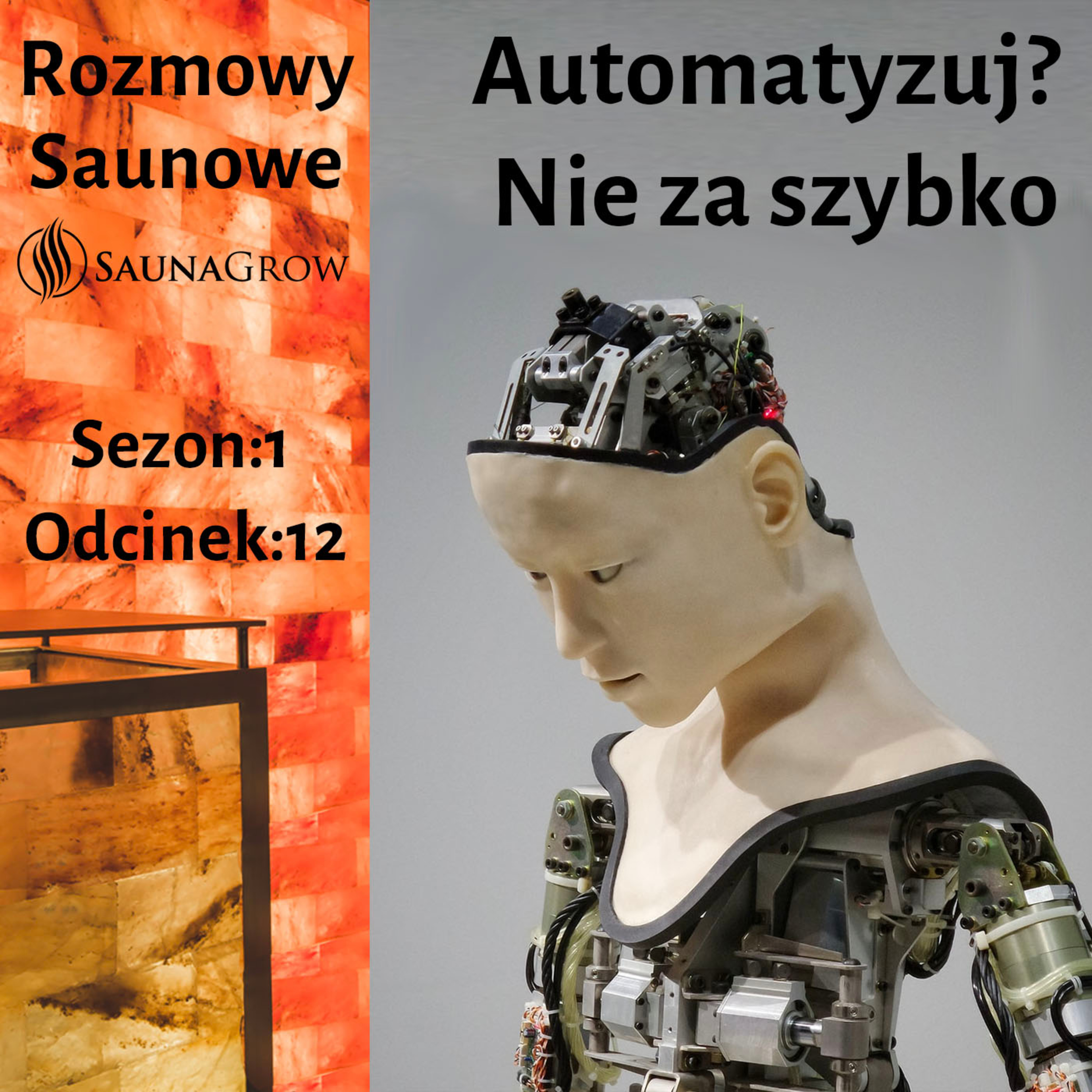 Rozmowy Saunowe