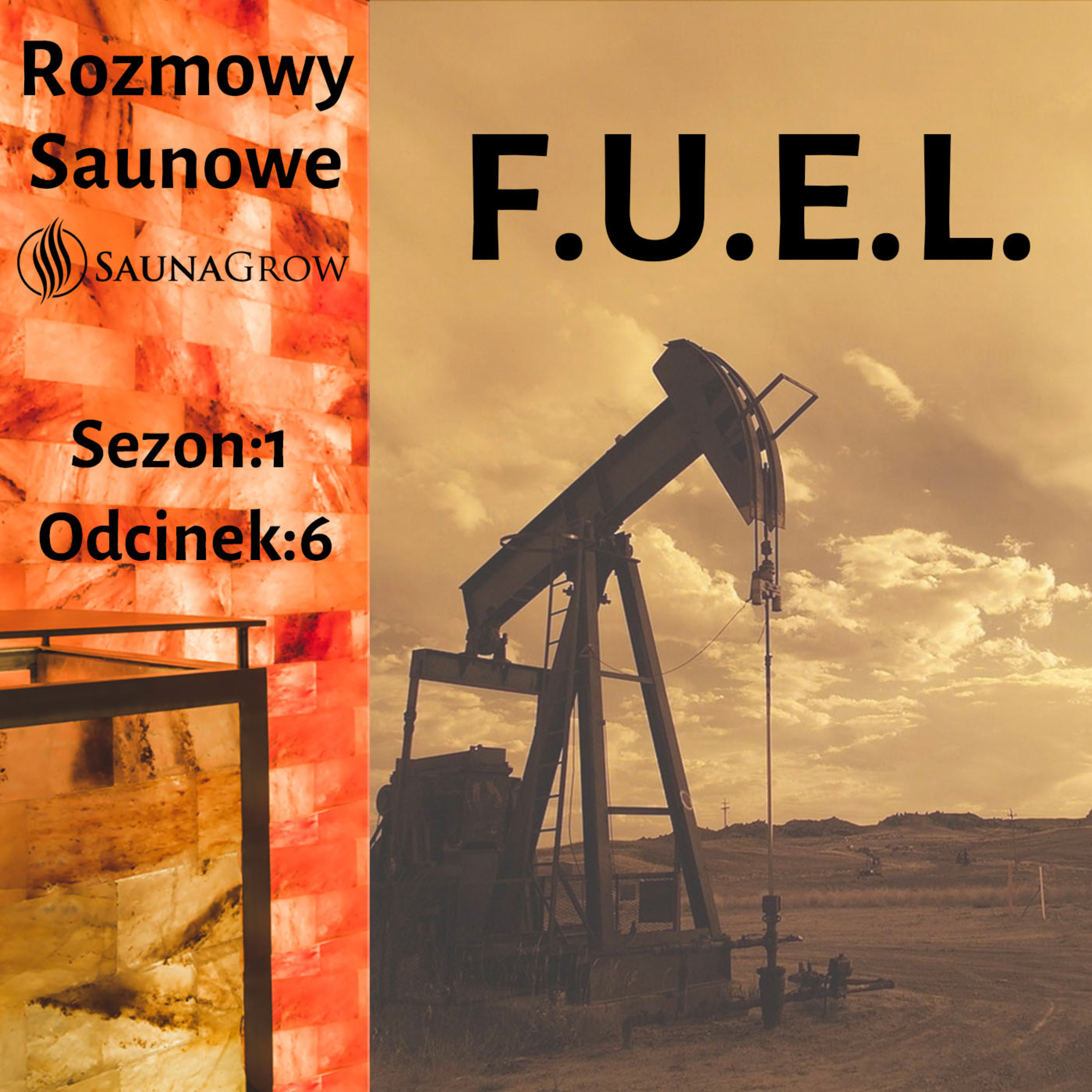 Rozmowy Saunowe