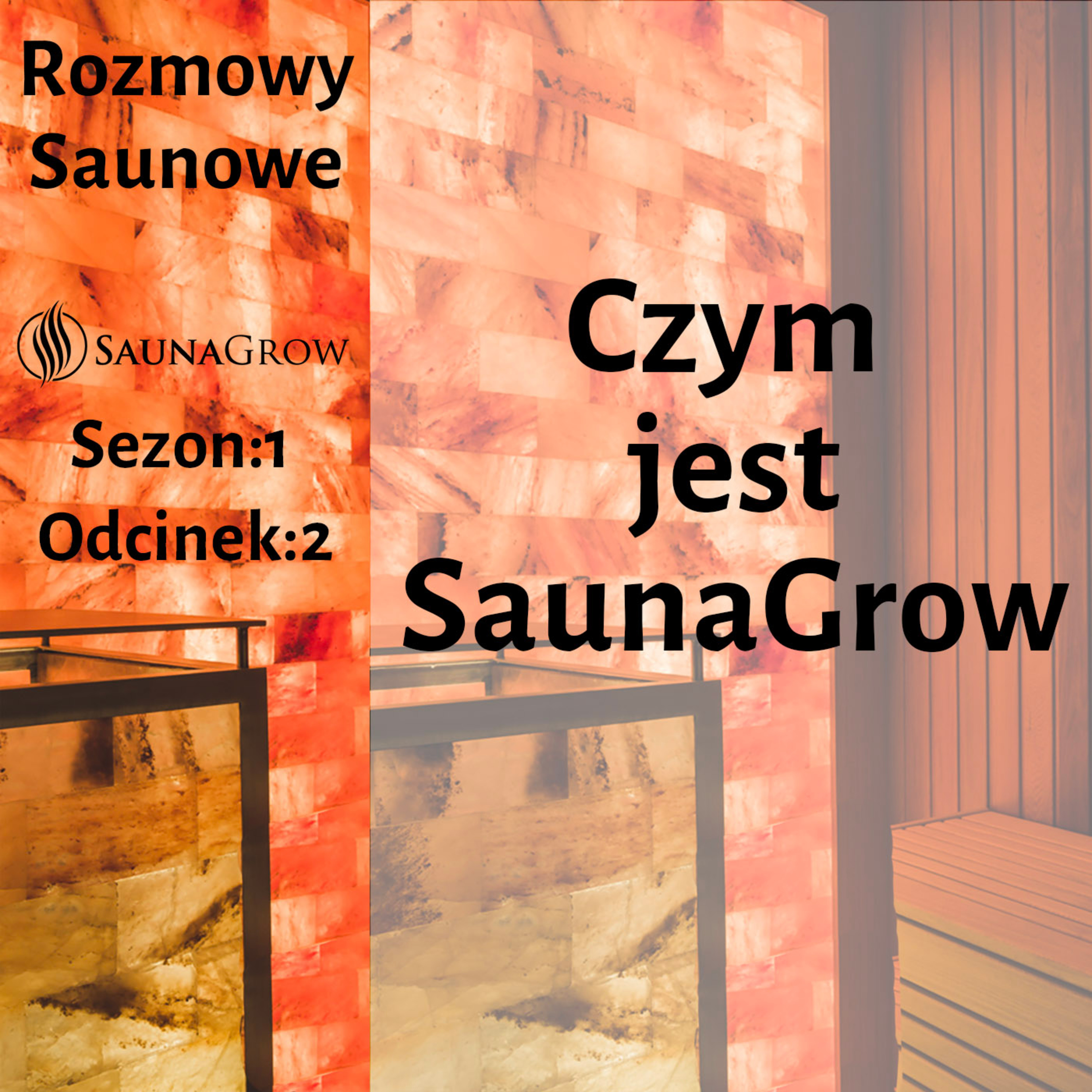 Rozmowy Saunowe