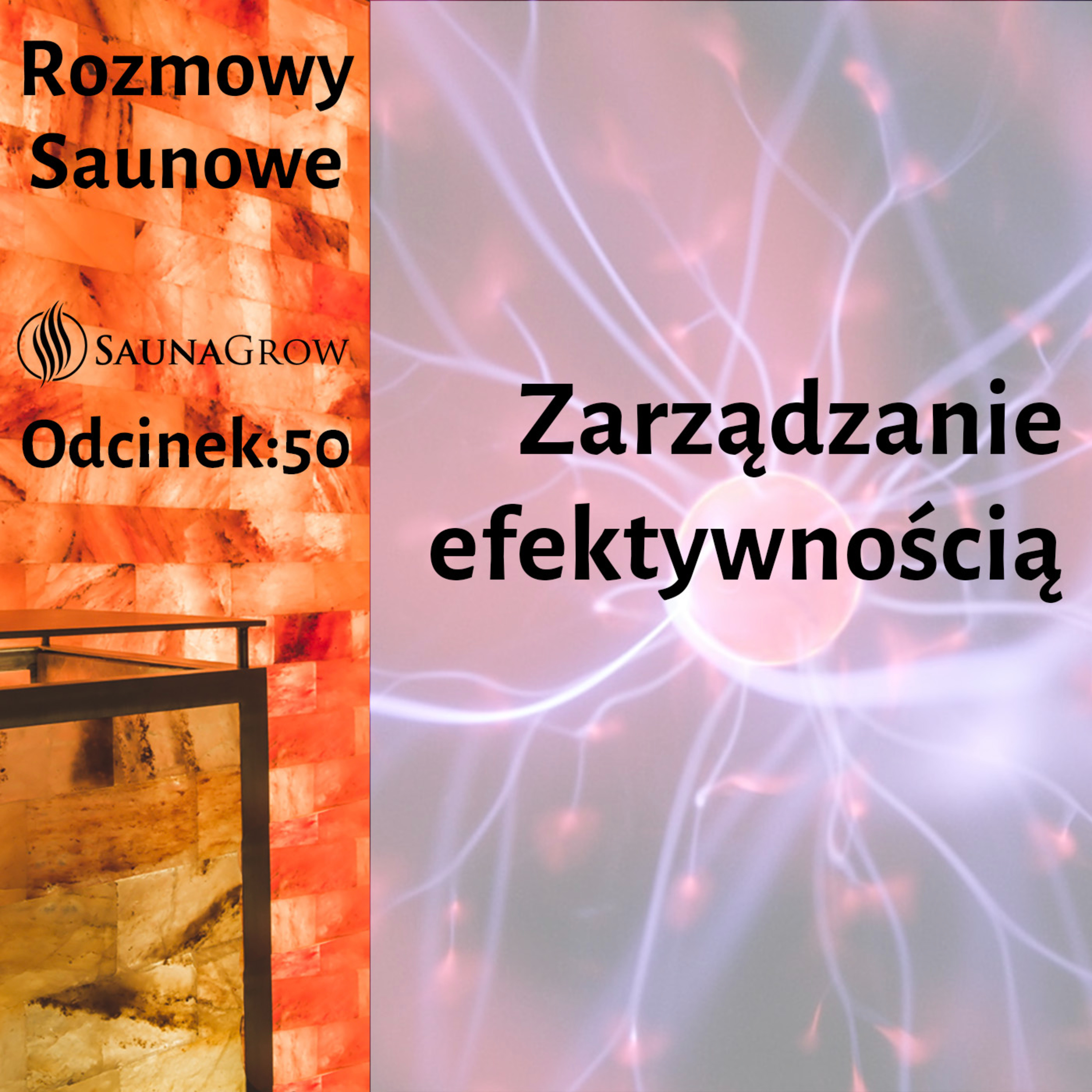 Rozmowy Saunowe