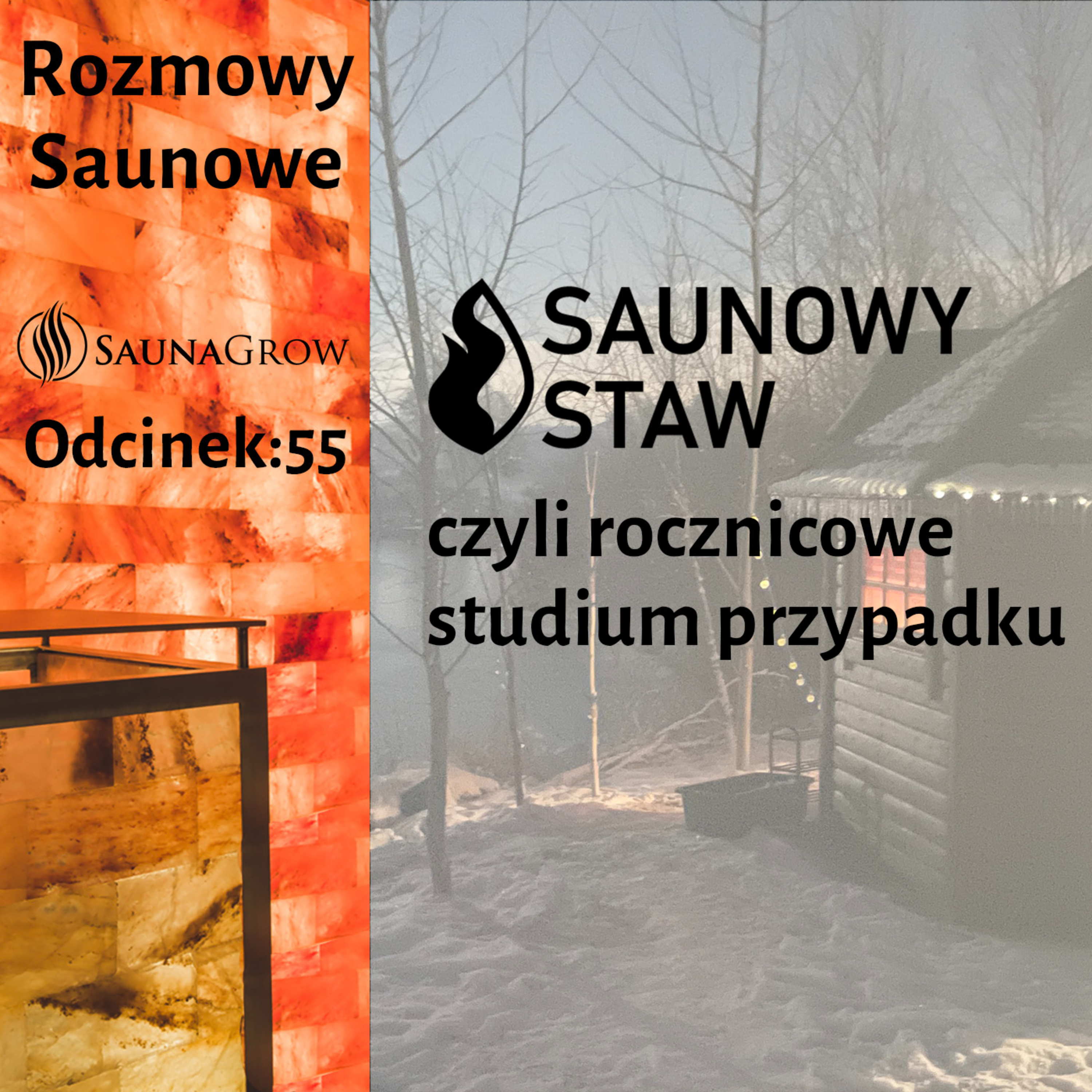 Rozmowy Saunowe
