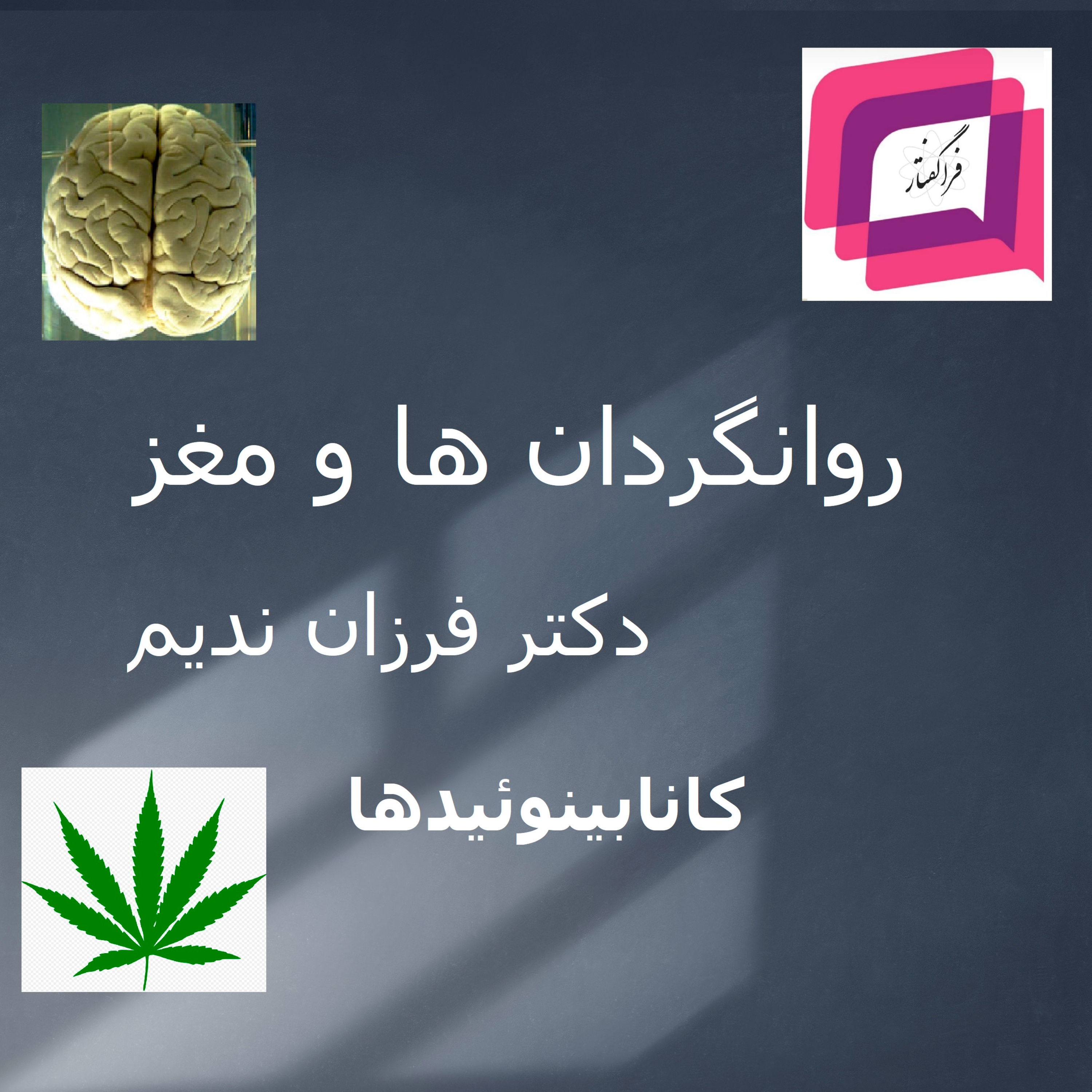 کاور ۲-۲۵- کانابینوئیدها (بنگی‌جات) و مغز- گفتگوی چهارم از مجموعه گفتگوی روانگردان ها و مغز- دکتر فرزان ندیم