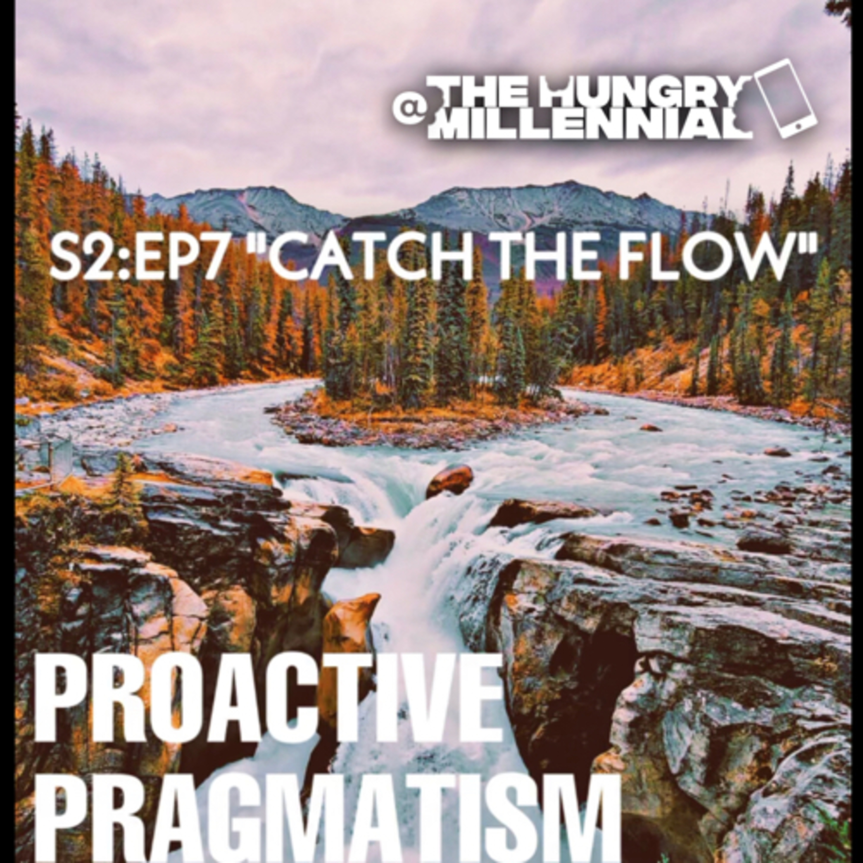 PROACTIVE PRAGMATISM