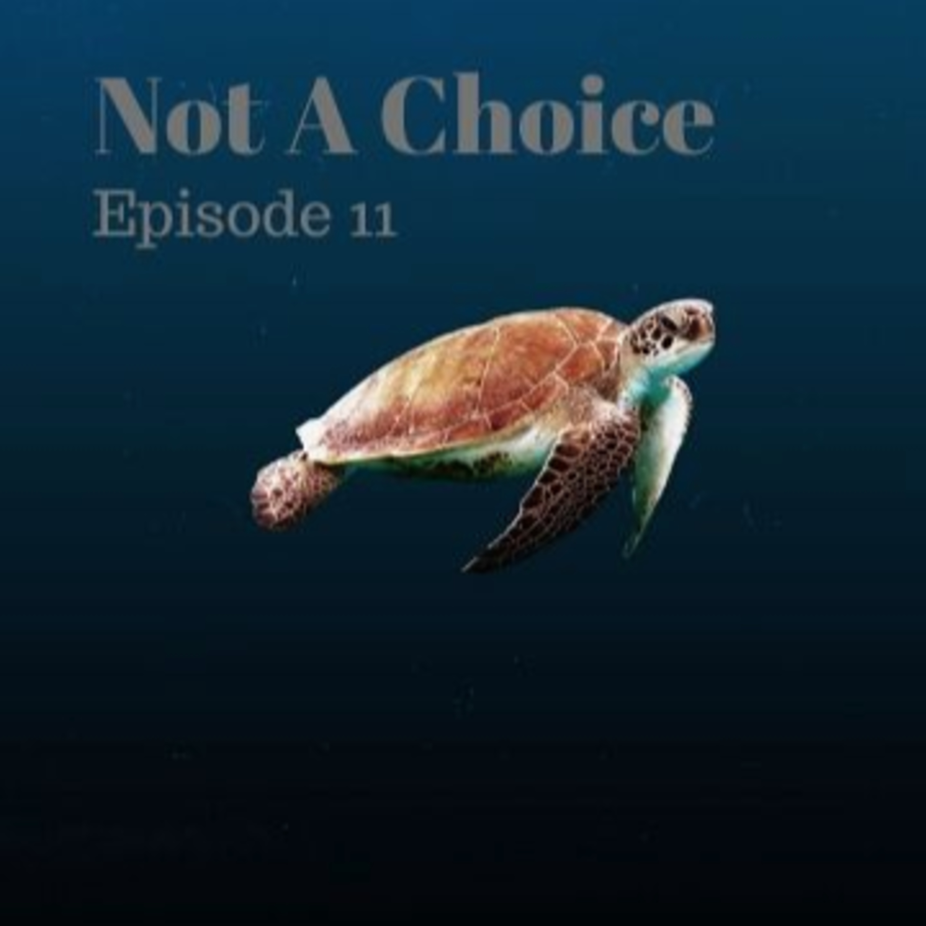 The Sky Random Podcast
