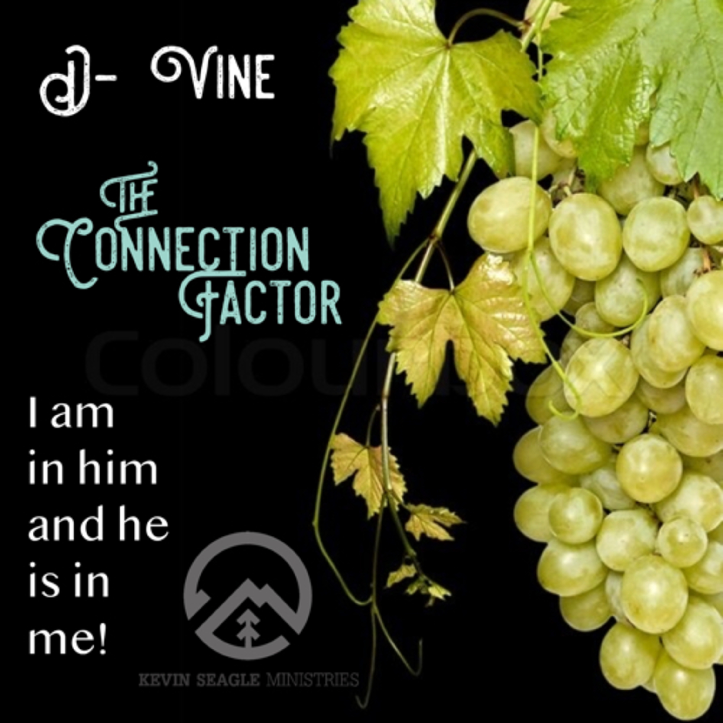 D-Vine Revelation!! John 15 the power of connection!  episode artwork