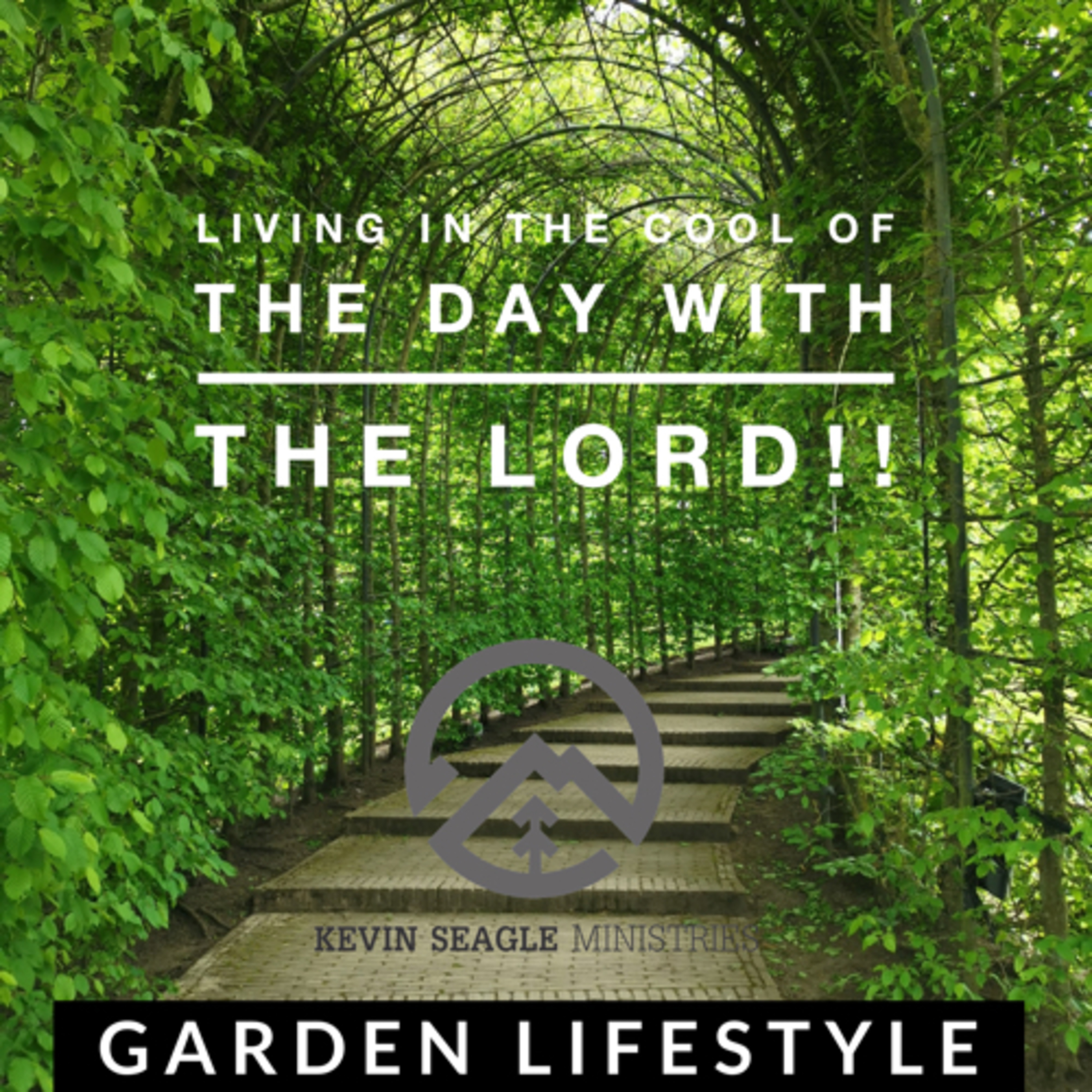 D-Vine connection #4 The Garden lifestyle  episode artwork