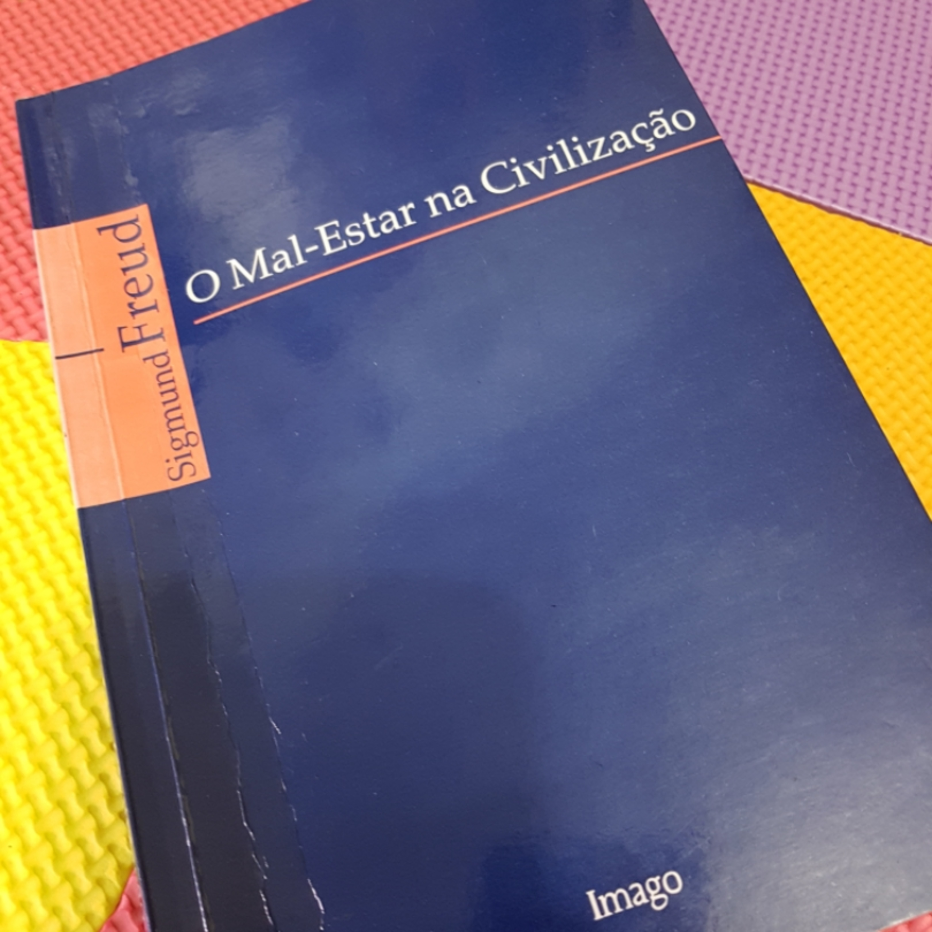 O Mal-estar na Civilização: as bases para se entender a gênese dos conflitos