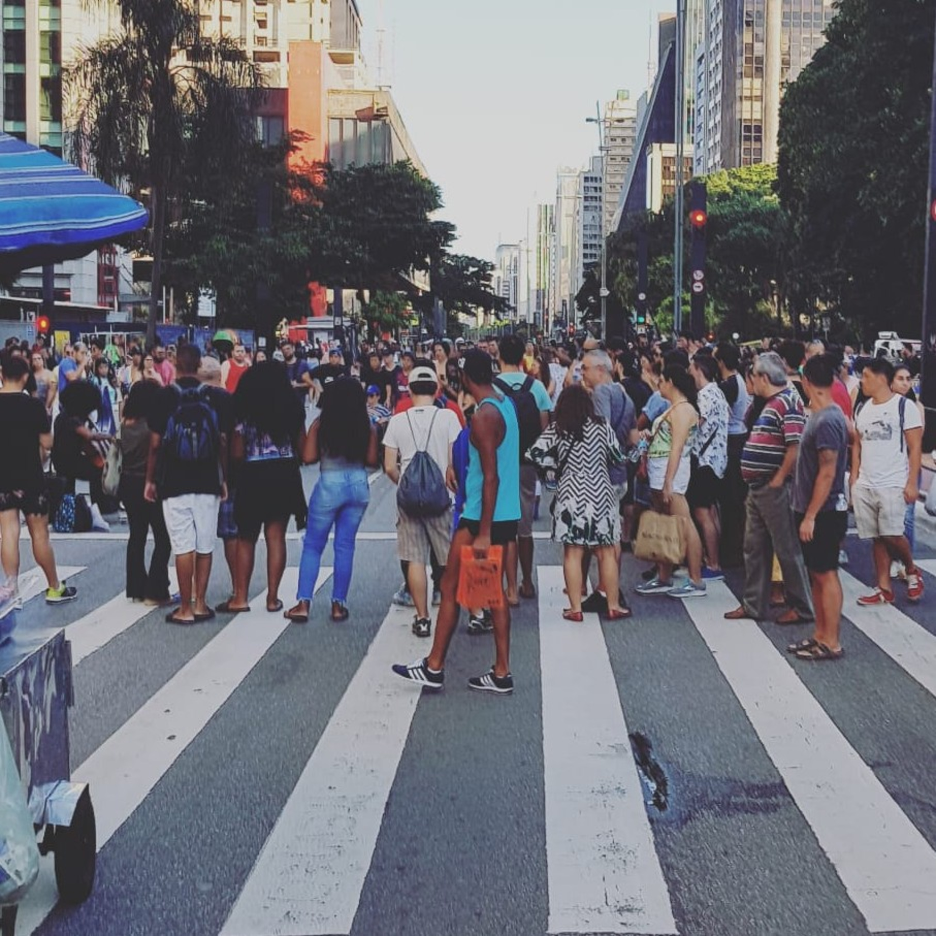 Ano Novo Chinês e Início de um Novo Ciclo