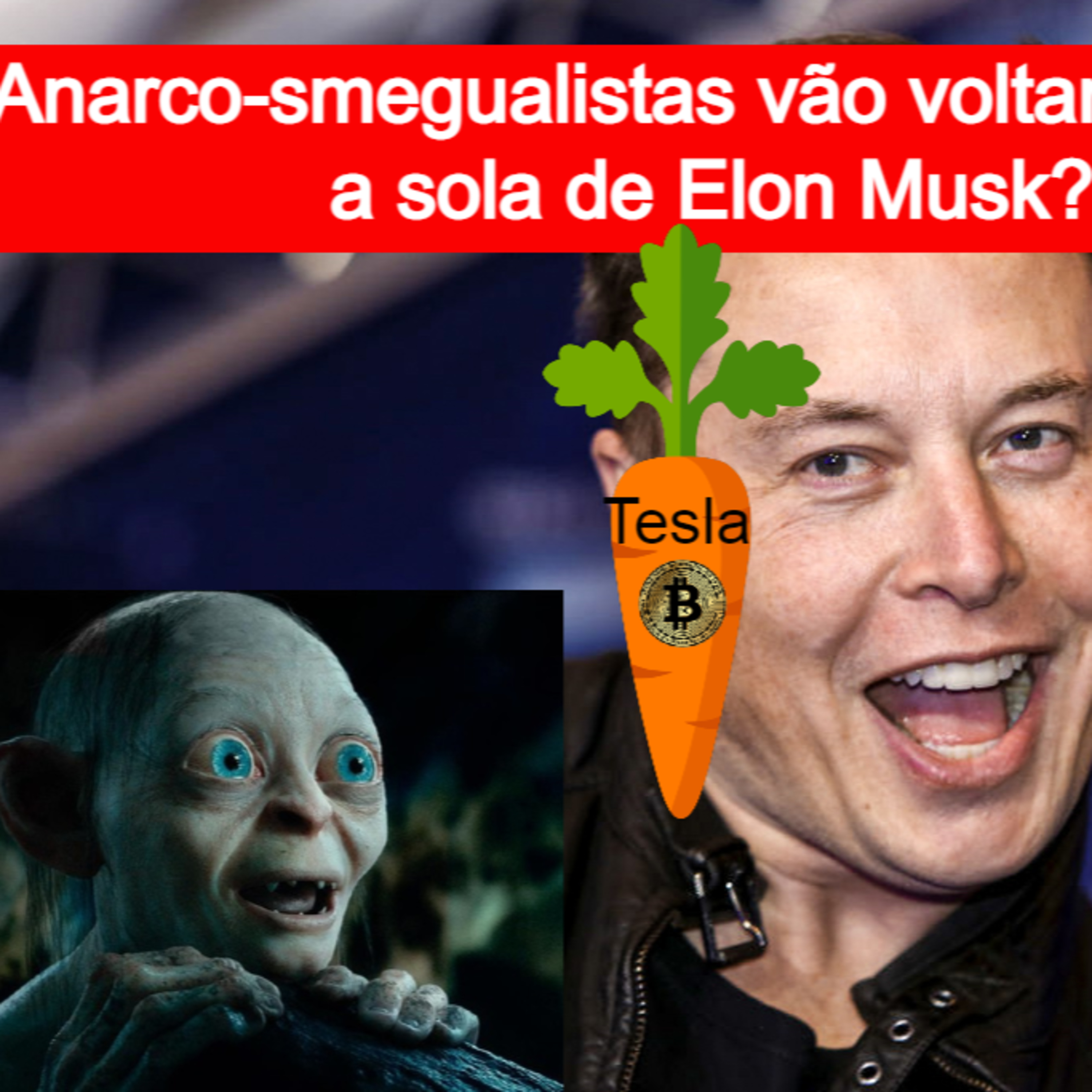 Bitcoiners vão voltar a lamber a sola de Elon Musk?