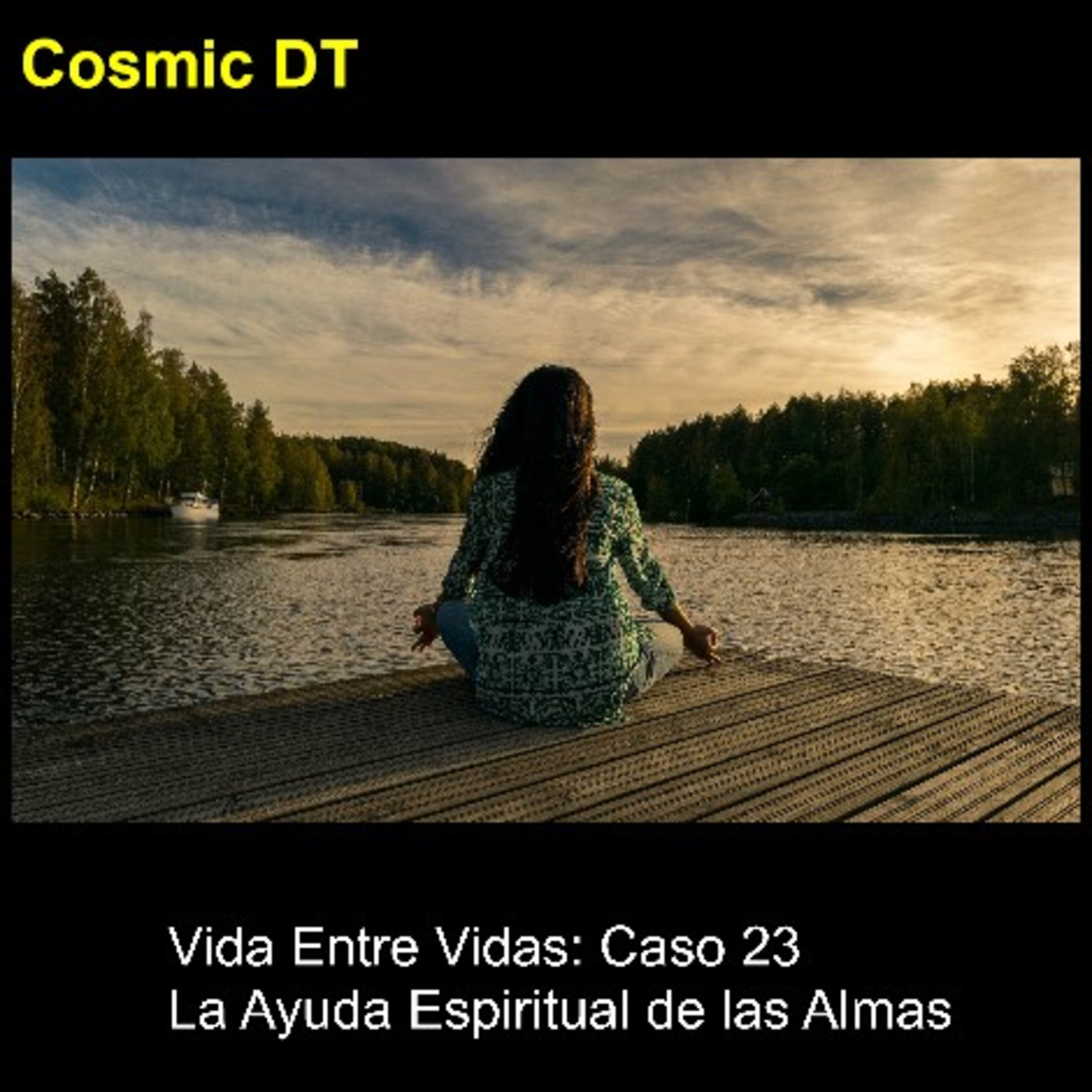Vida Entre Vidas: Caso 23 - La Ayuda Espiritual de las Almas episode artwork