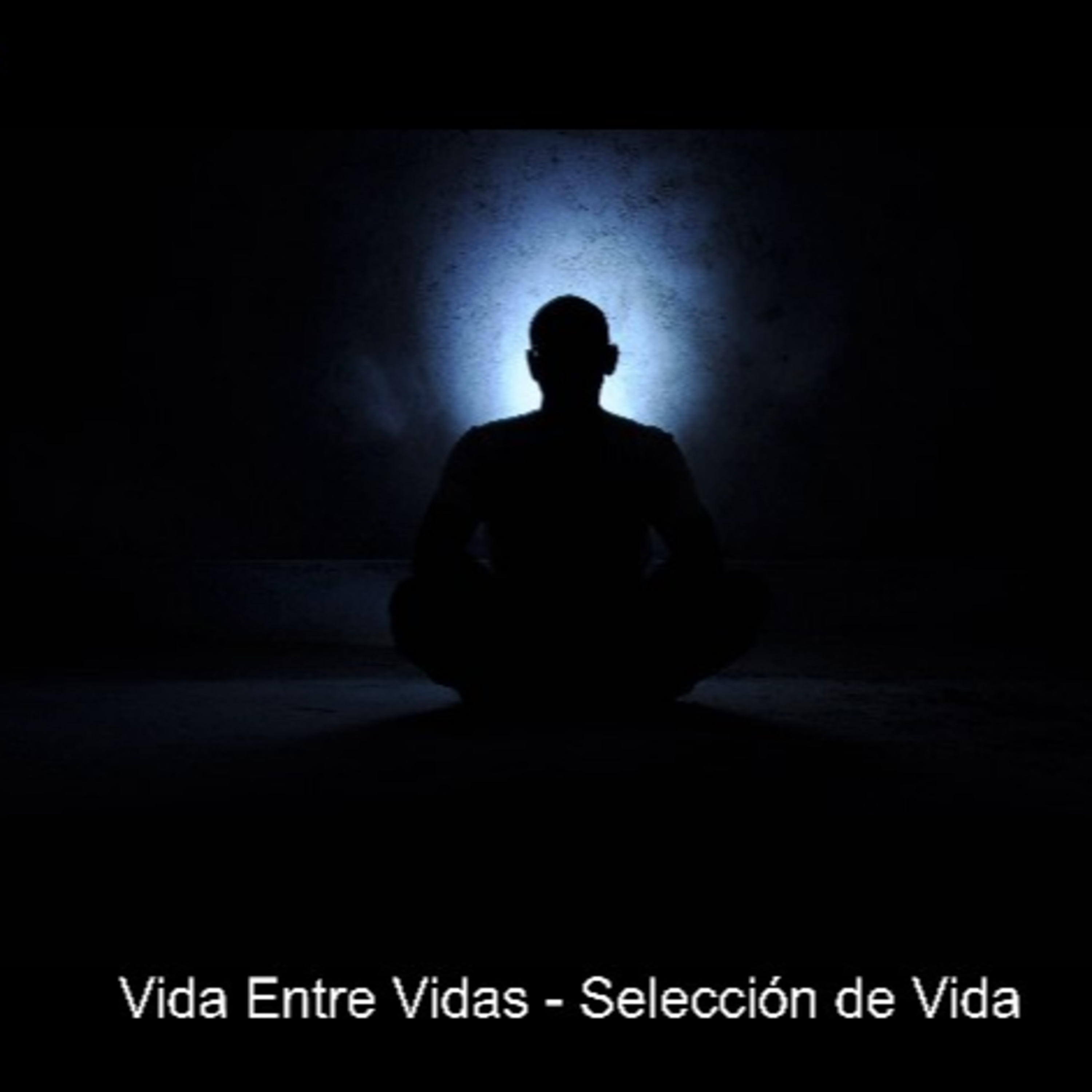 Vida Entre Vidas - Selección de Vida episode artwork