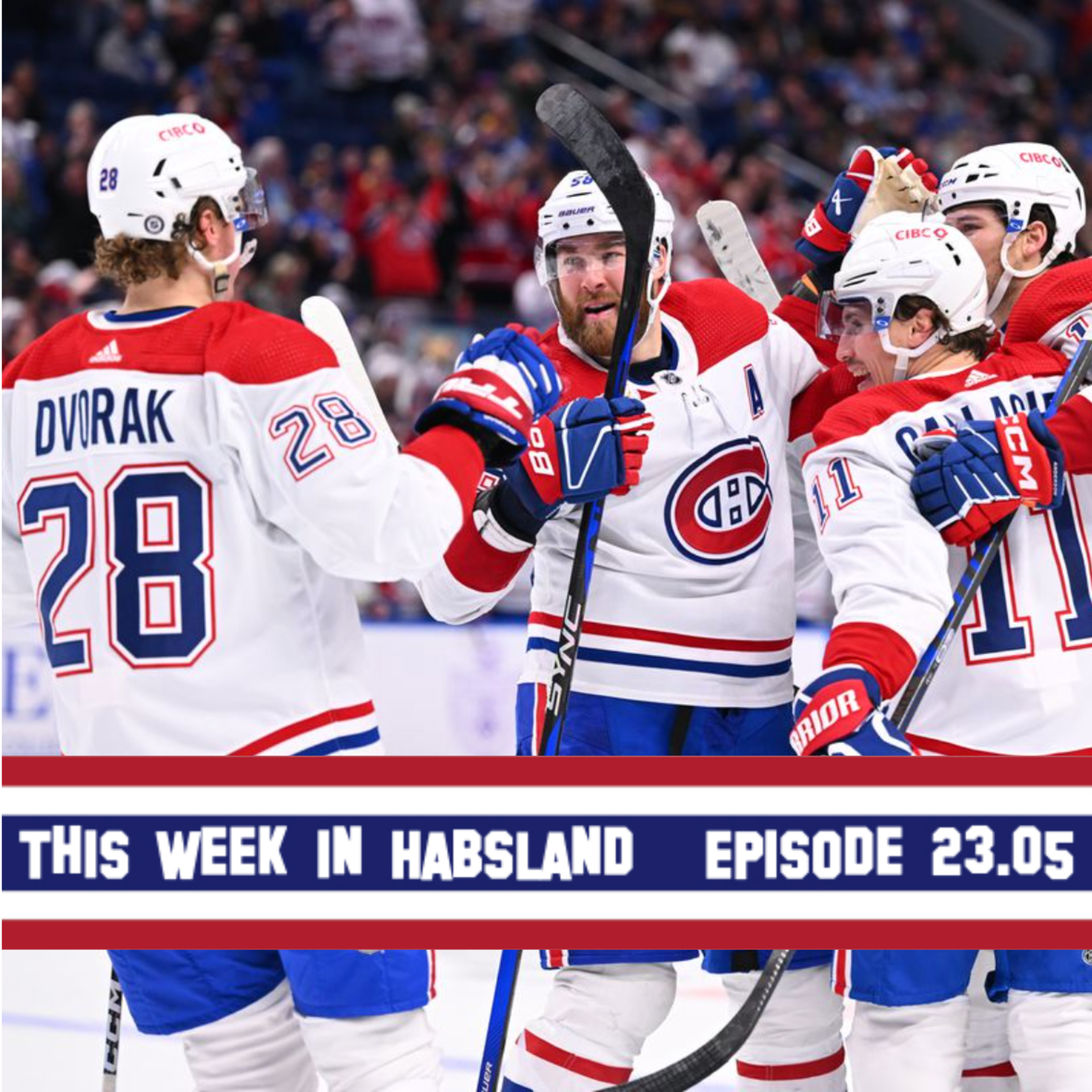 This Week in Habsland