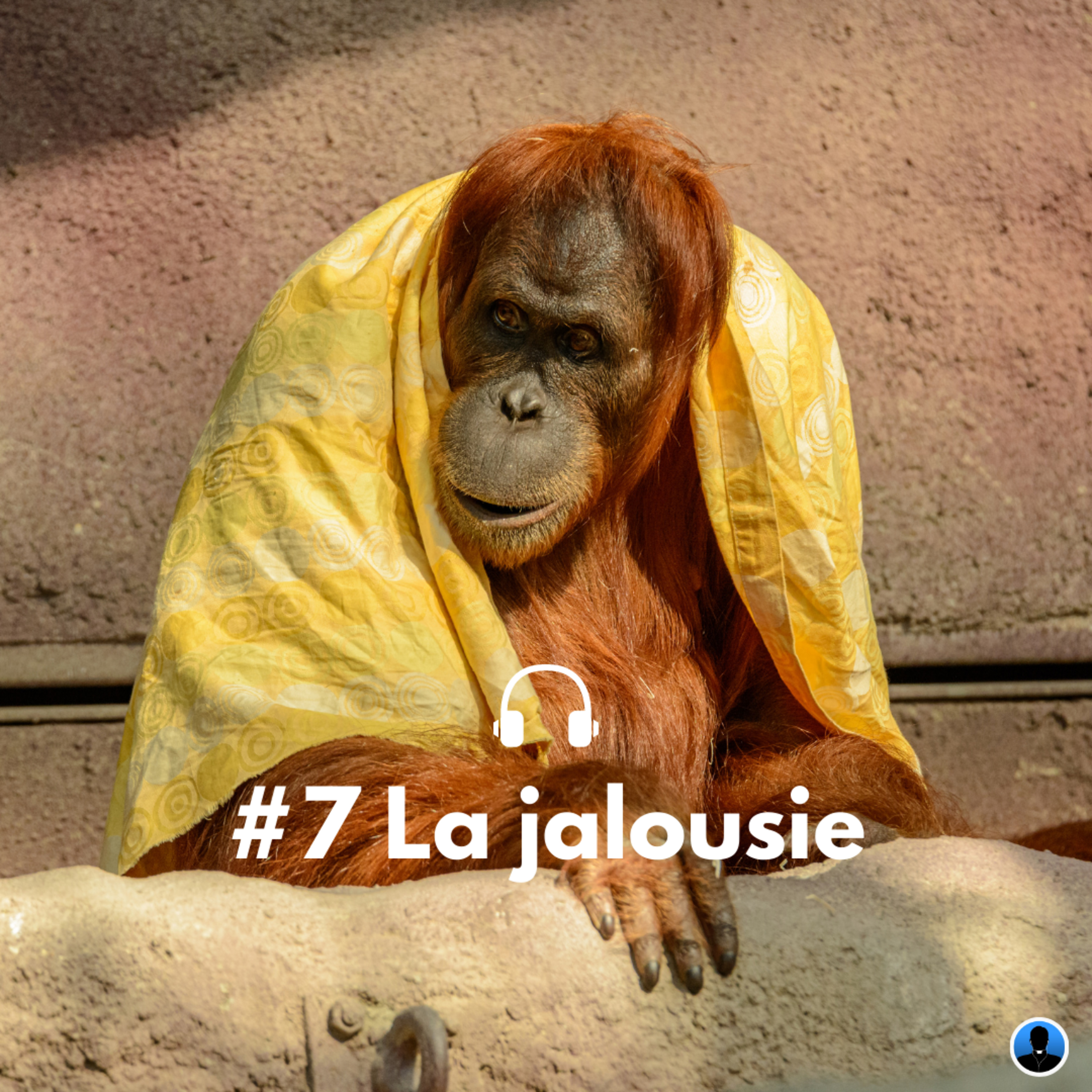 Les péchés capitaux : La jalousie - P. Siboulet (S3E04)