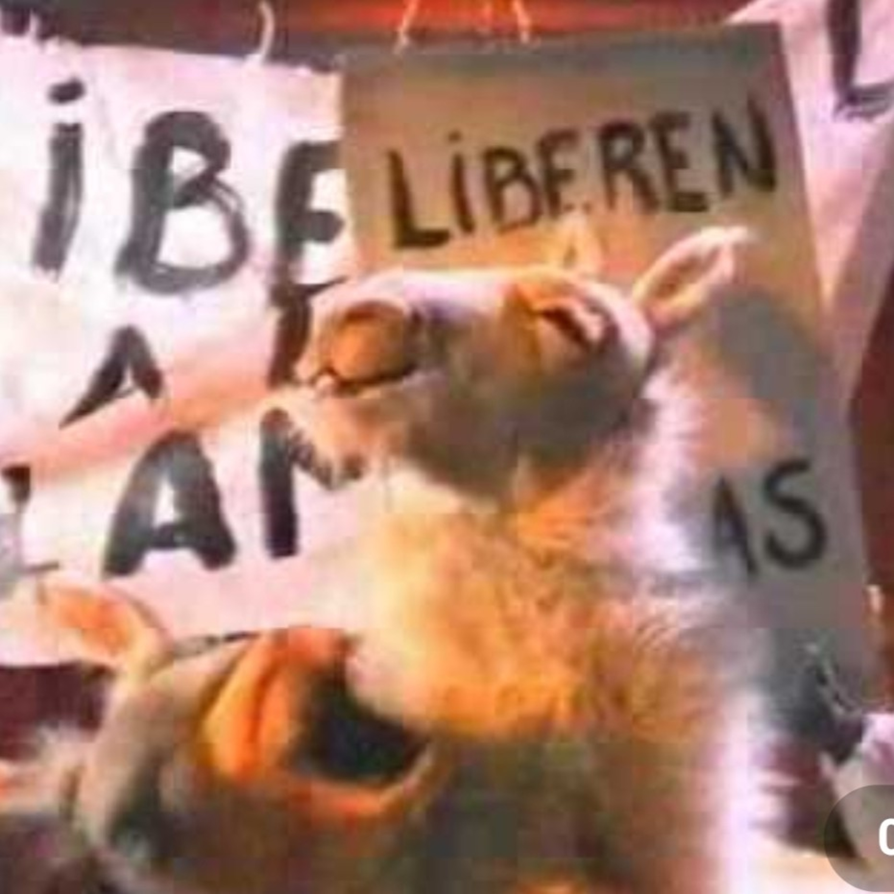 El Vertedero De Nico
