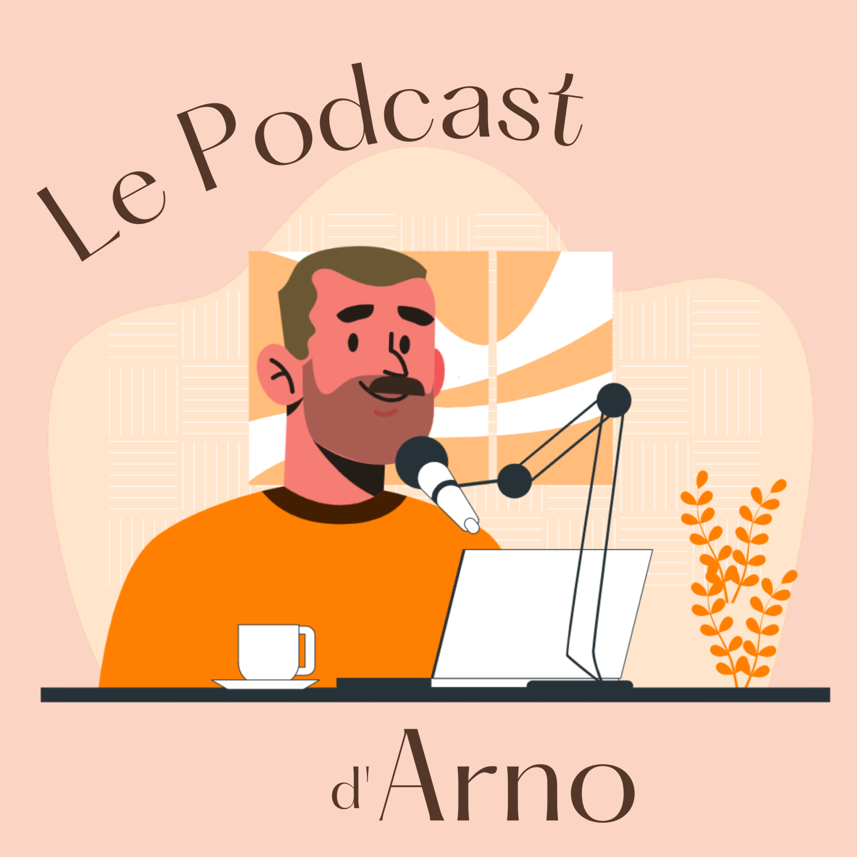Retour sur ma 1ère année en musculation 🐦 episode artwork