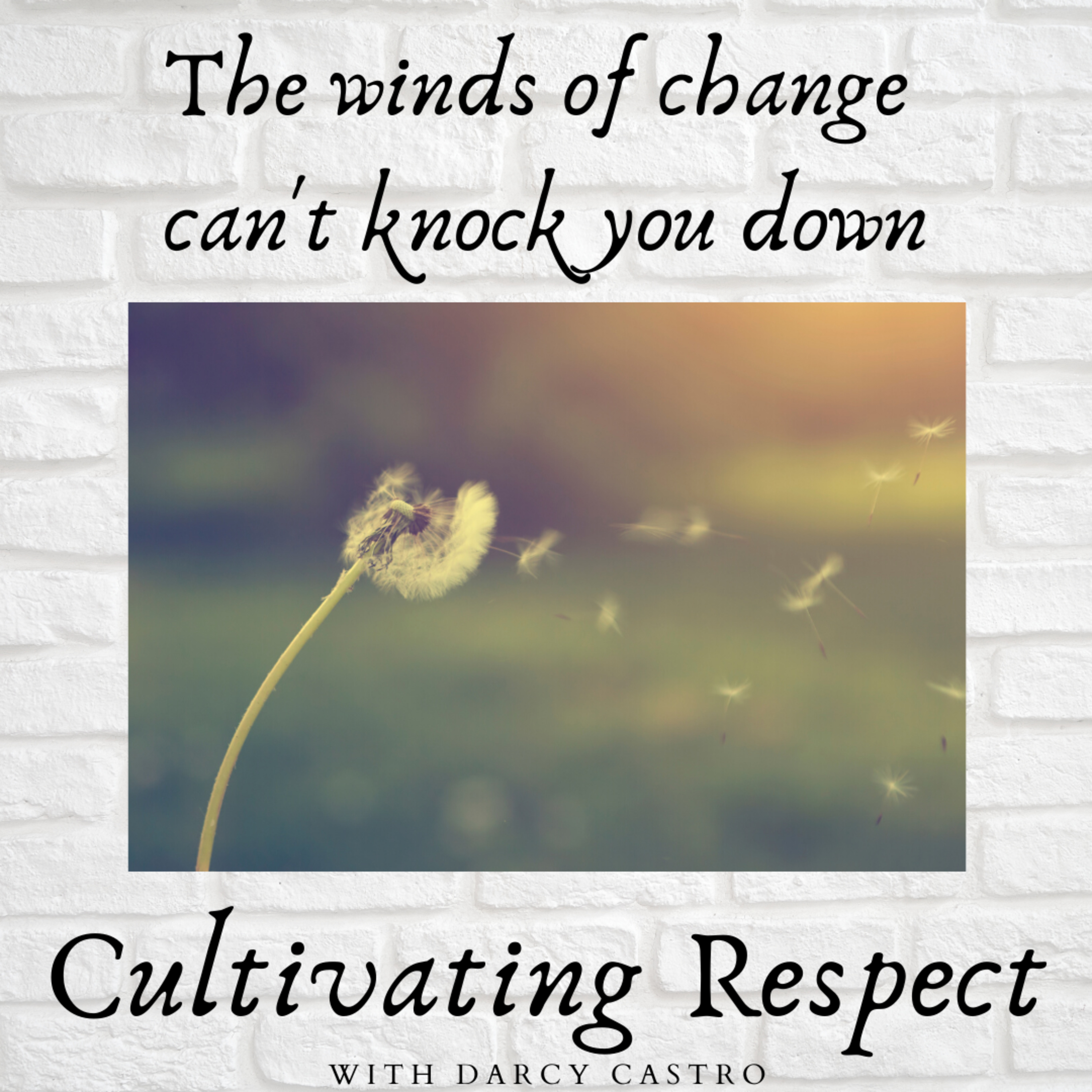 The winds of change won't knock you down episode artwork