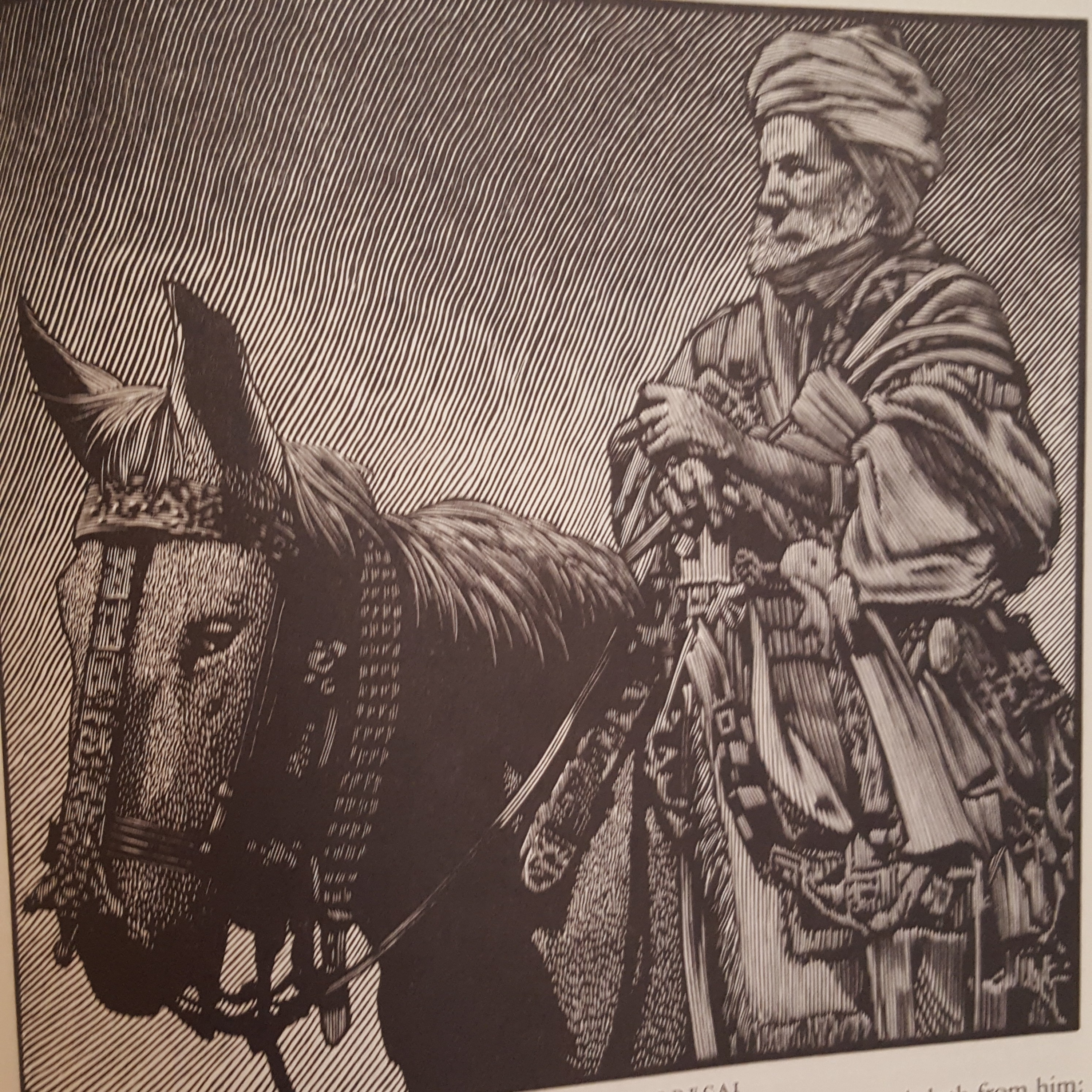 365 Bible Study Sep 4