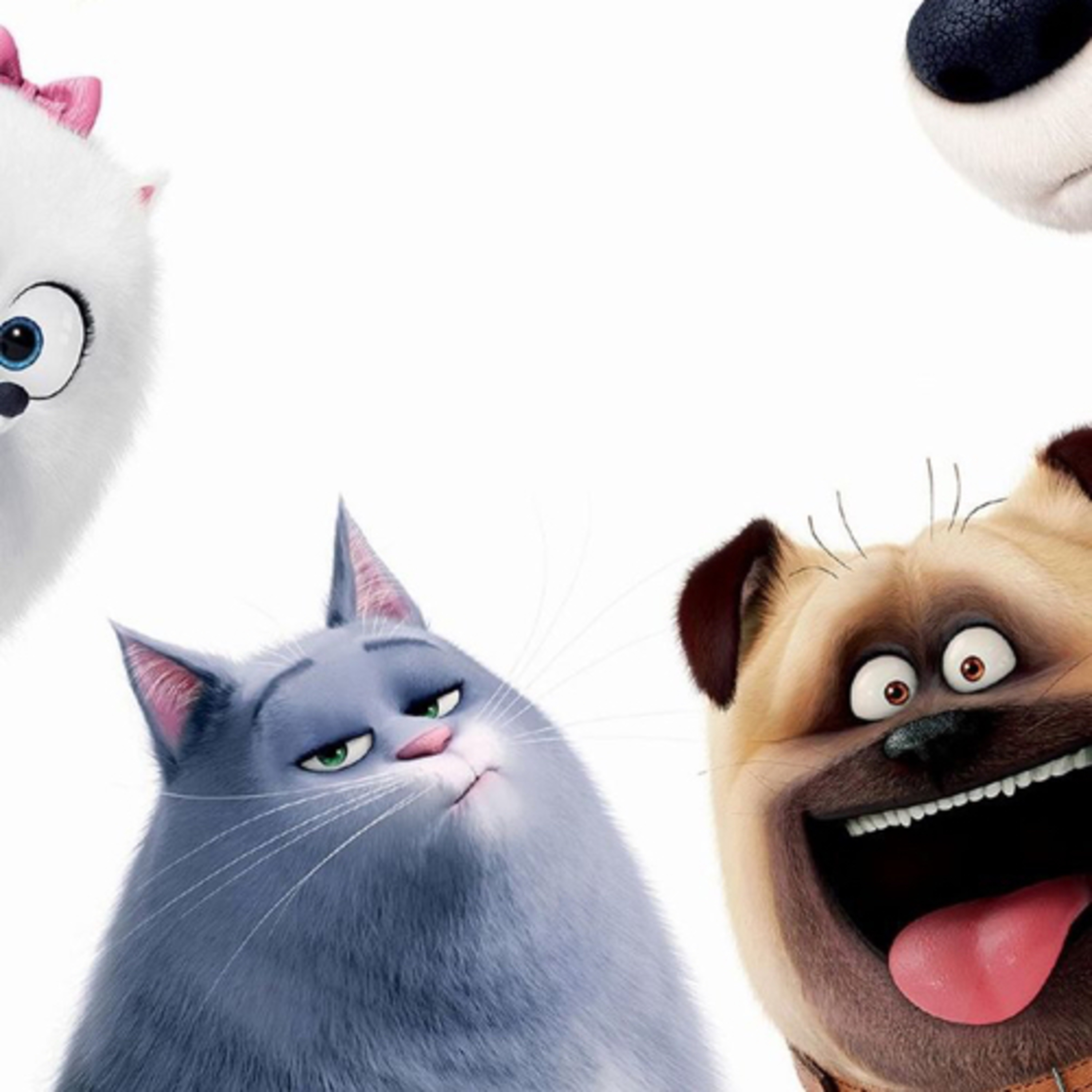 emotional dysregulation