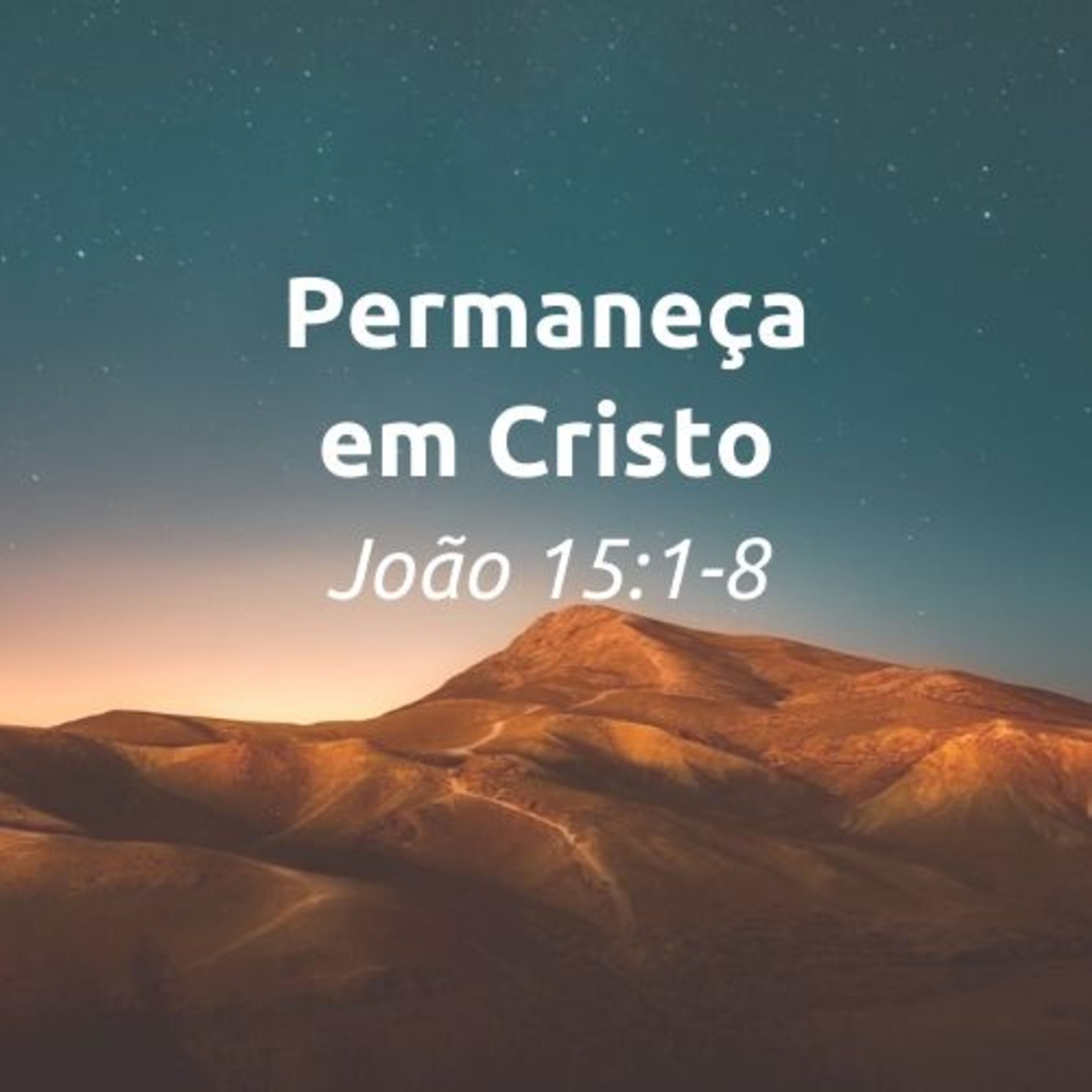 29/12/2019 | João 15:1-8 | Permaneça em Cristo (Brian Pate) episode artwork