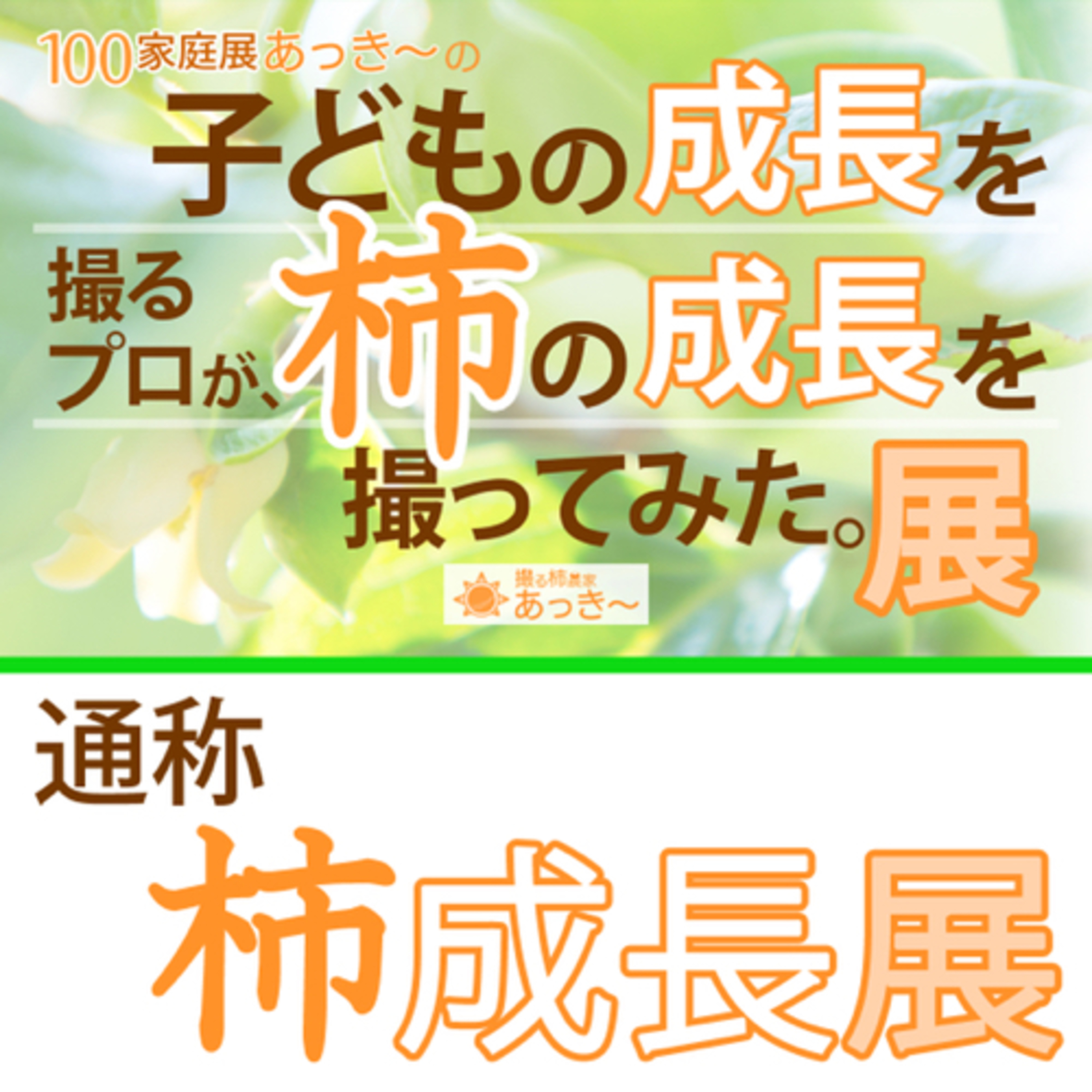 42前編｜あっき〜個展「柿成長展」に込めた想いが届いたらいいな episode artwork