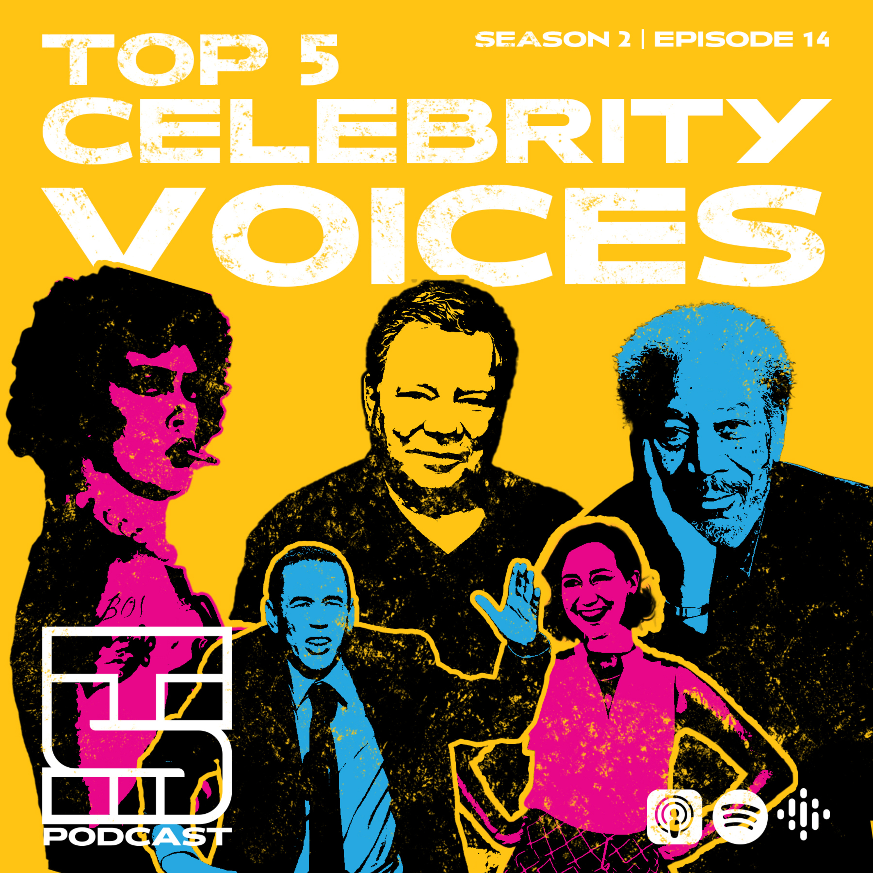 Top 5 Celebrity Voices