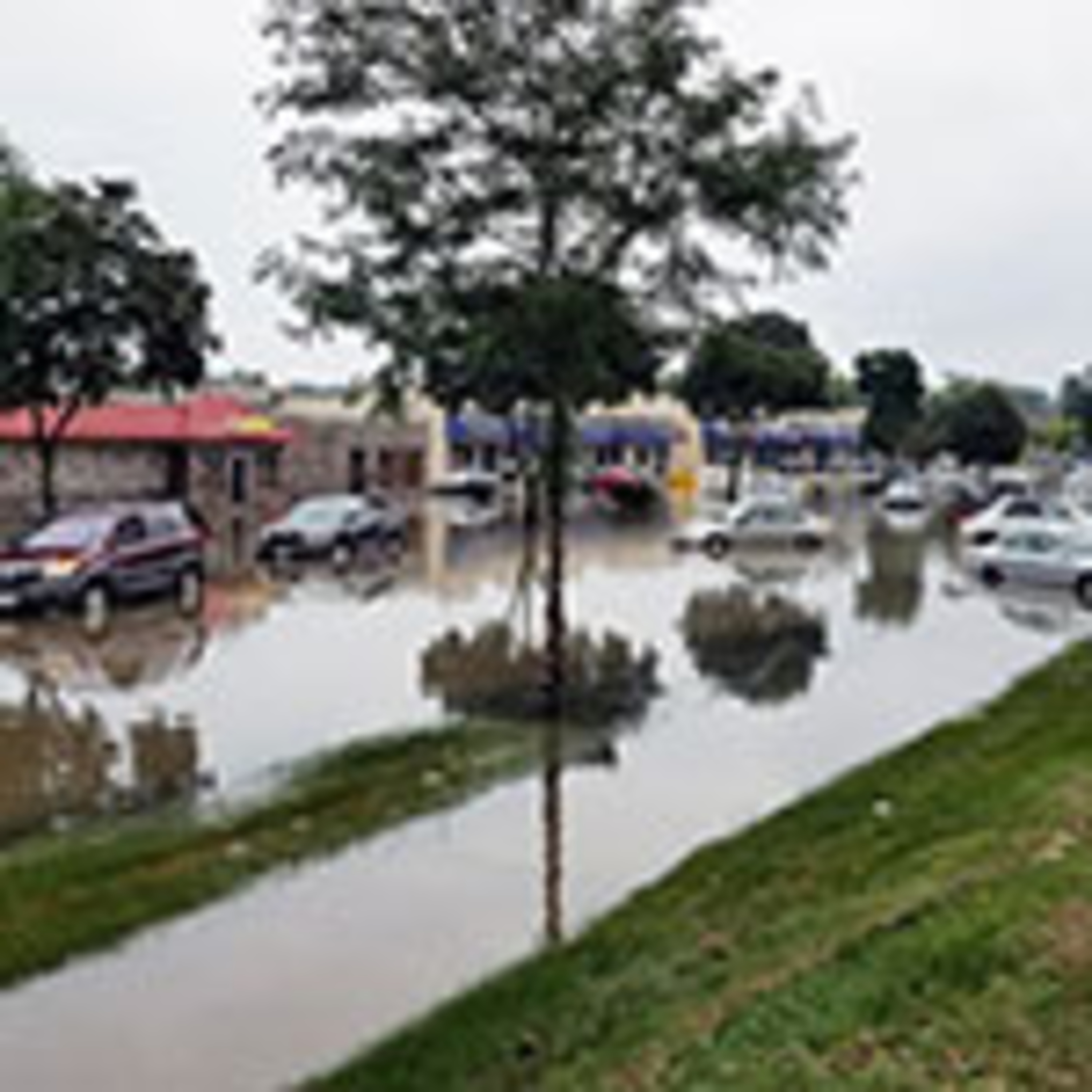 Extension Disaster Network