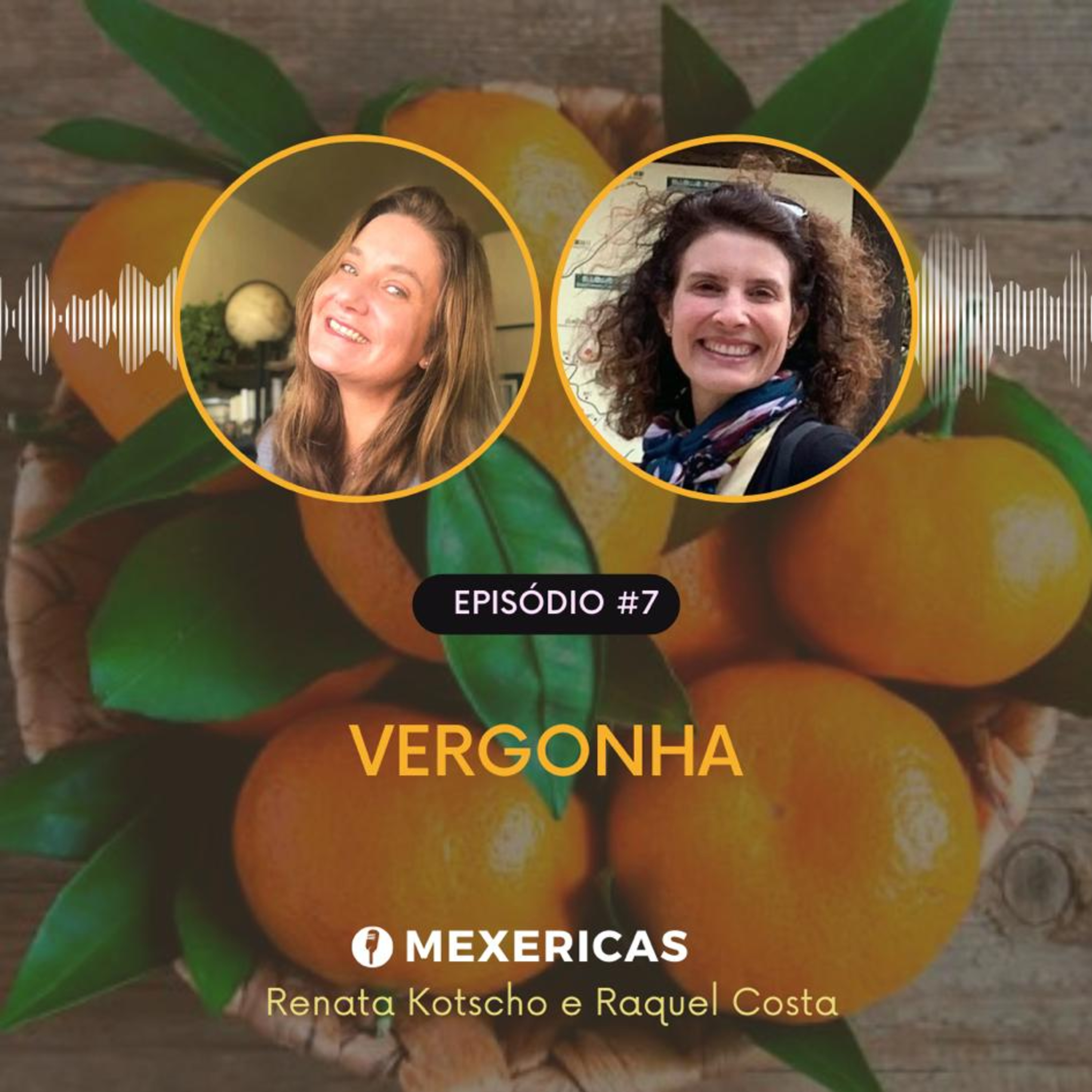 Vergonha episode artwork