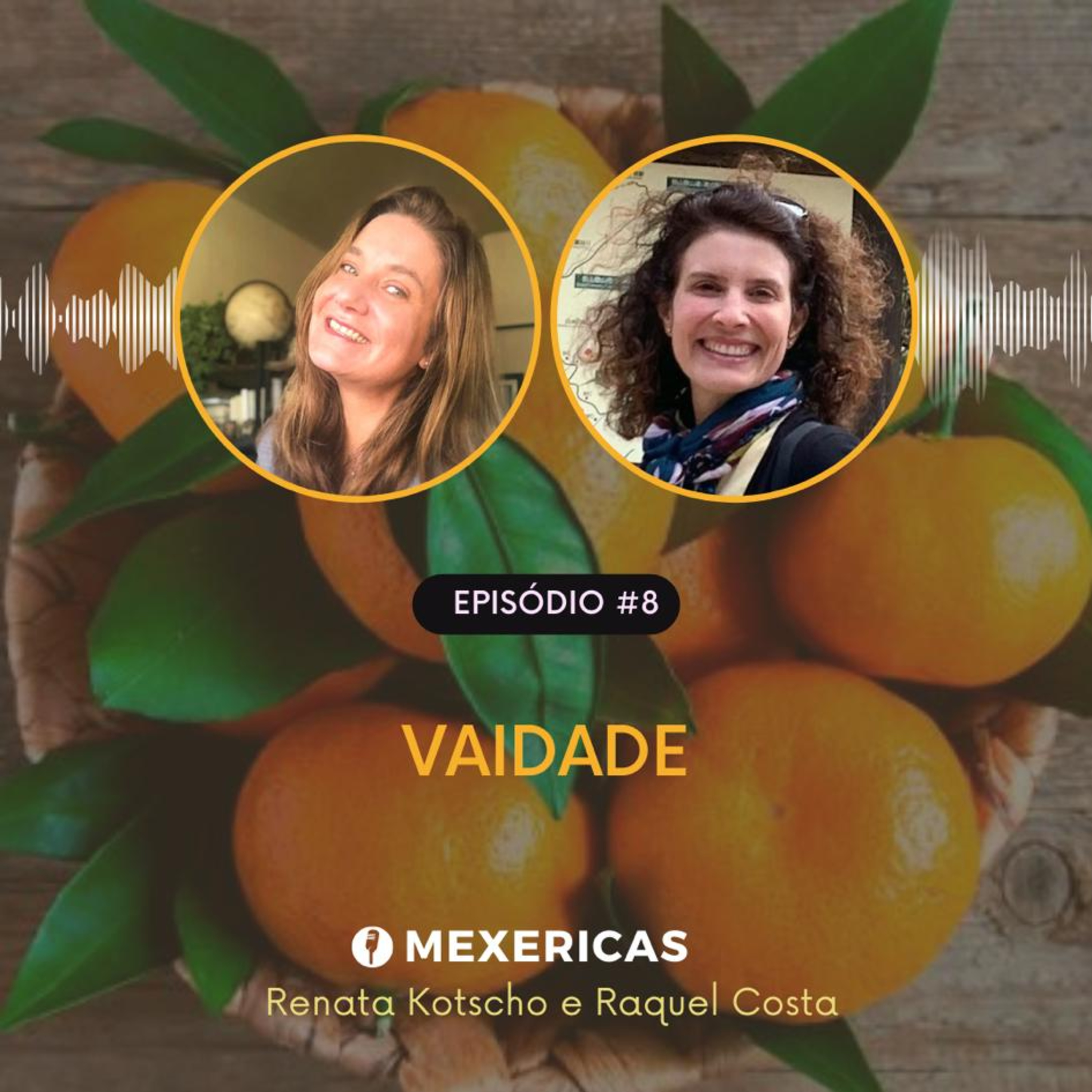 Vaidade episode artwork