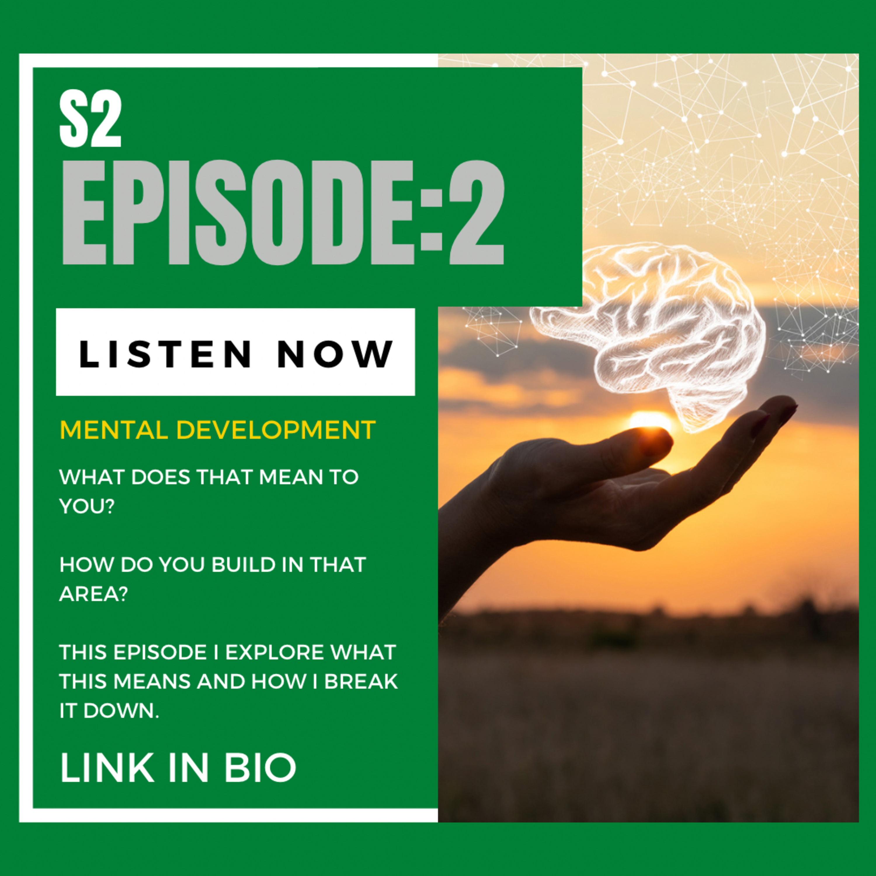 Mental Development  episode artwork