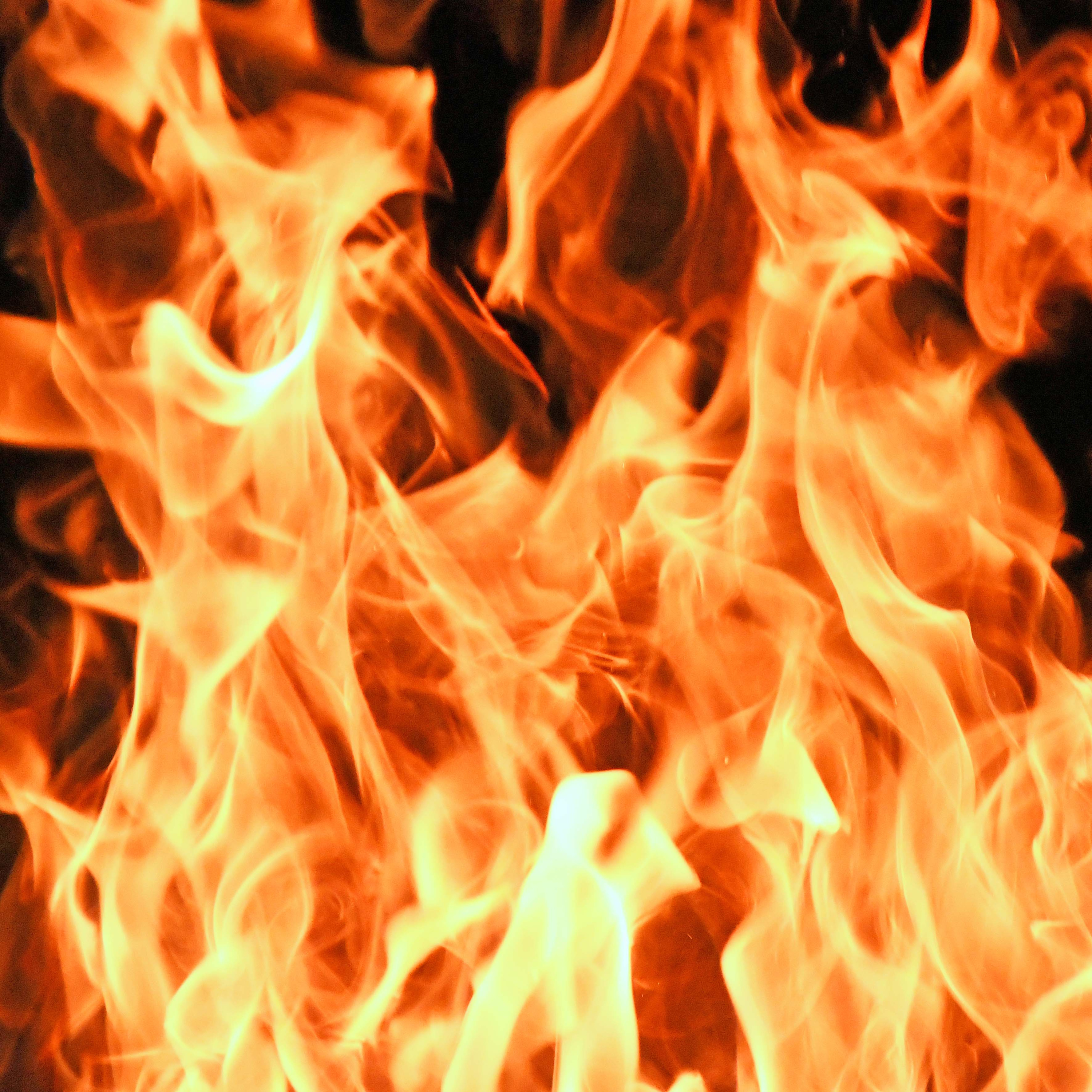 Salted with Fire