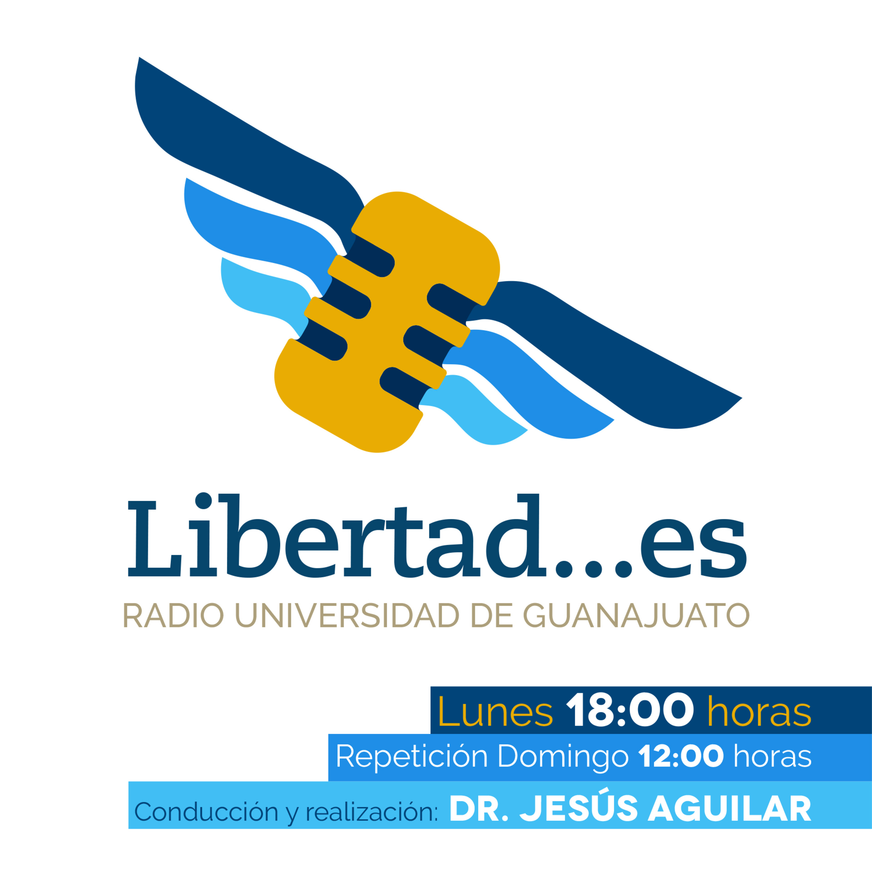 Situación Político- Económica de Haití| Libertad Es