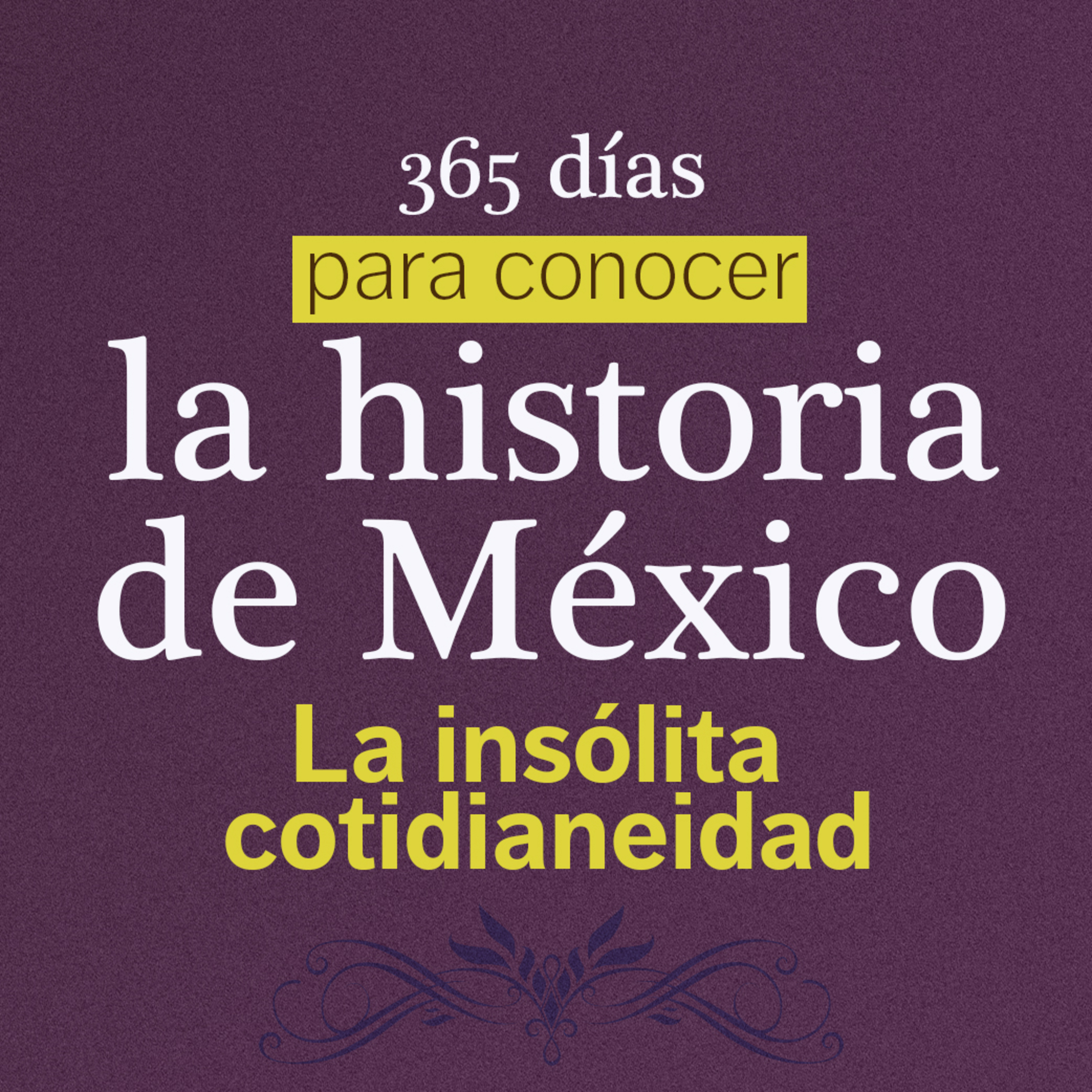 “LA INSÓLITA COTIDIANEIDAD” Juguetón | 365 DÍAS PARA CONOCER LA HISTORIA DE MEXICO