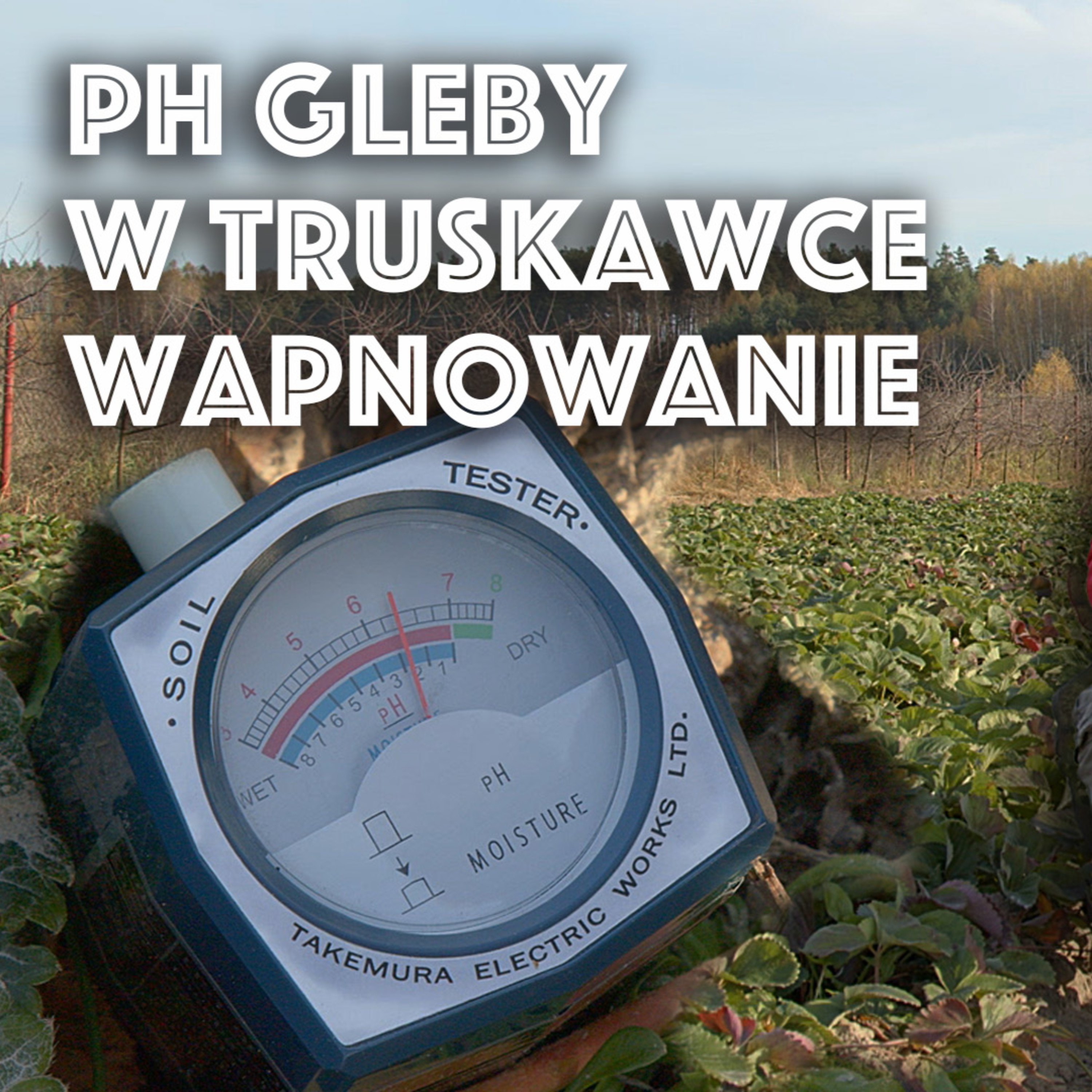 Przegląd Sadowniczy - sadownictwo