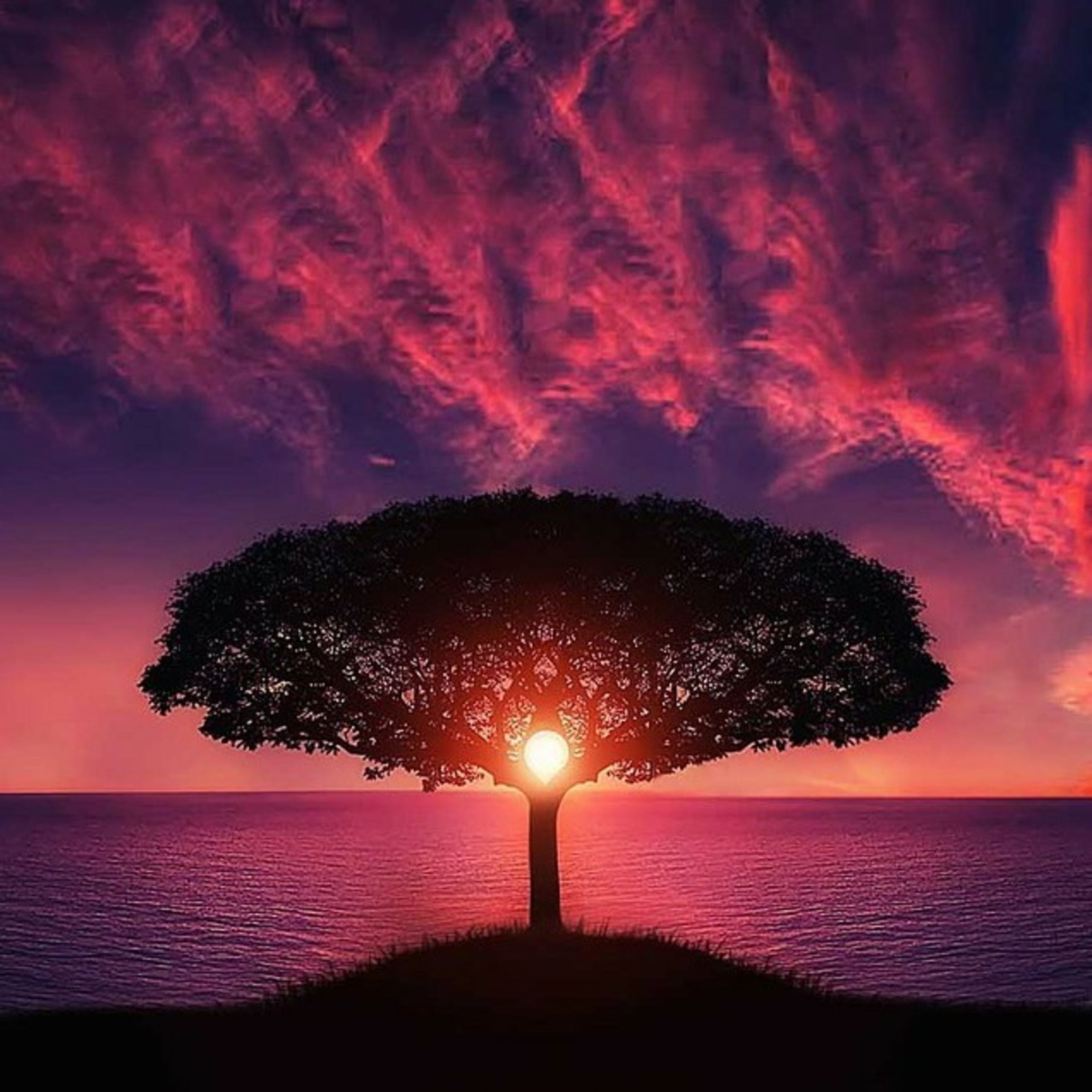 The Spiritual Awakening