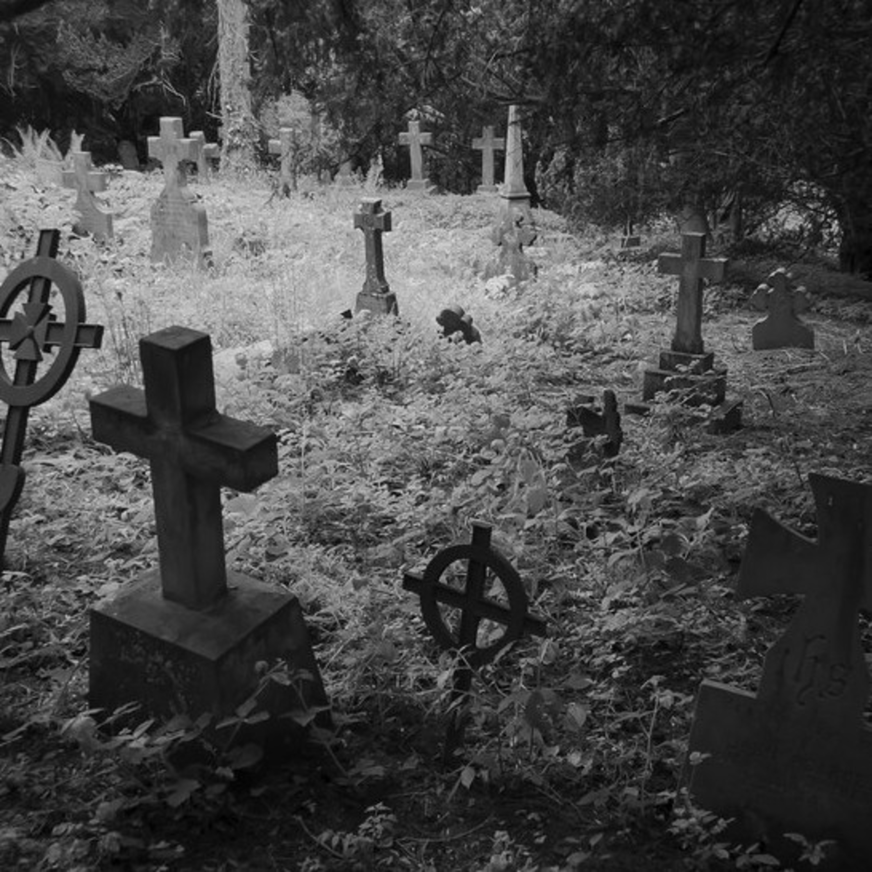 The Dark Cryptids Podcast