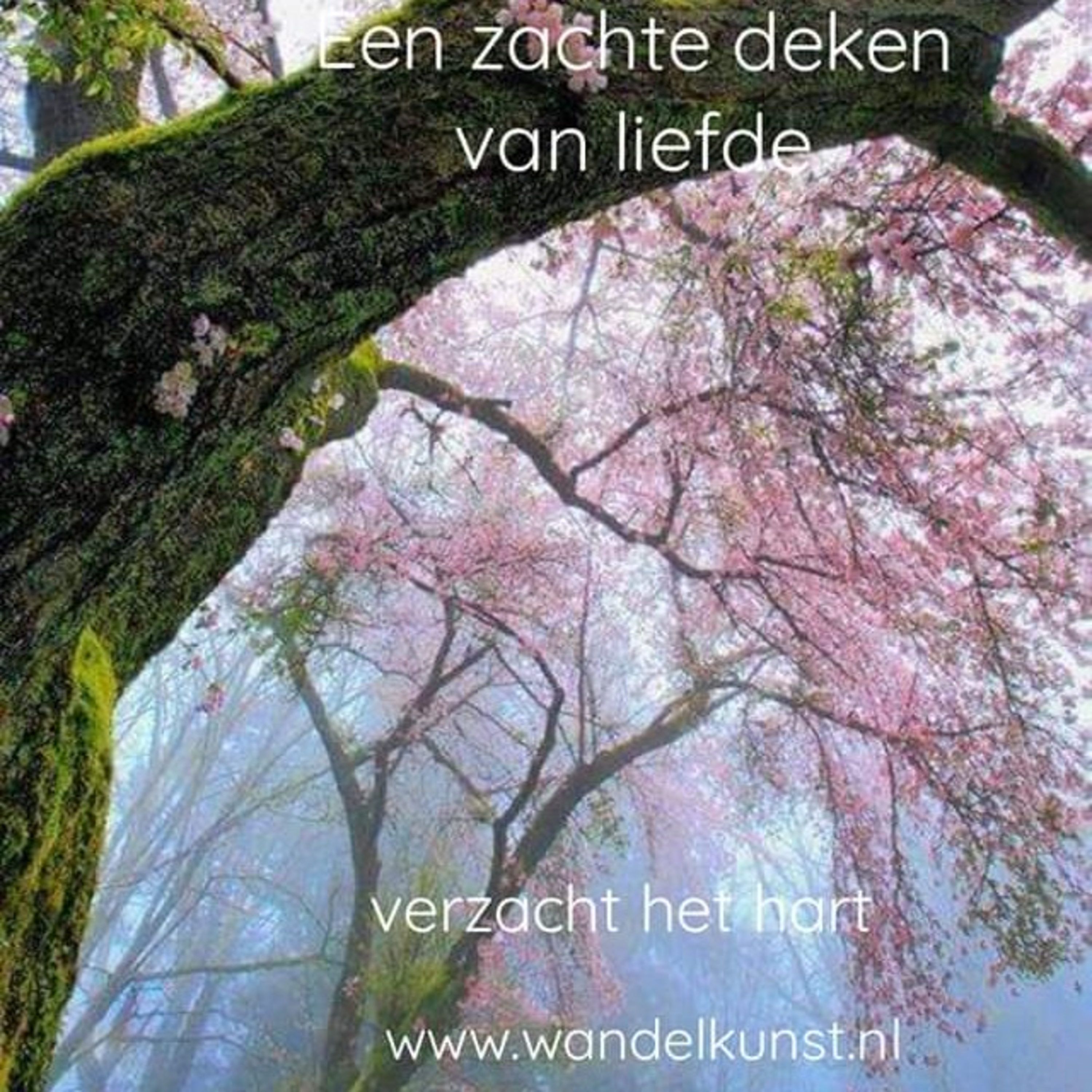 Wandelkunst meditaties en activaties
