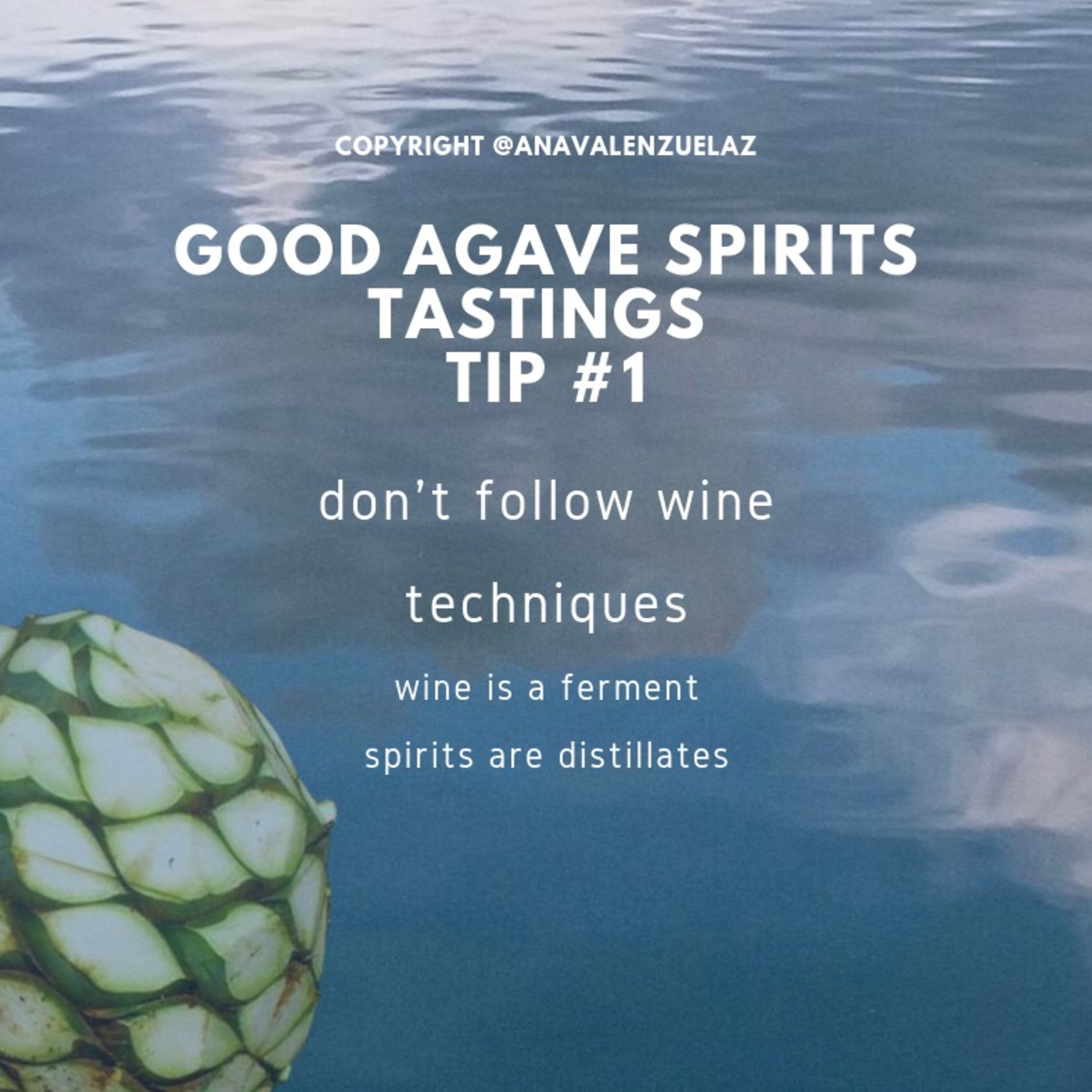 Agaveculture. The Agave and sotol lessons and Mexican gastronomy. A+ work © Ana G. Valenzuela-Zapata