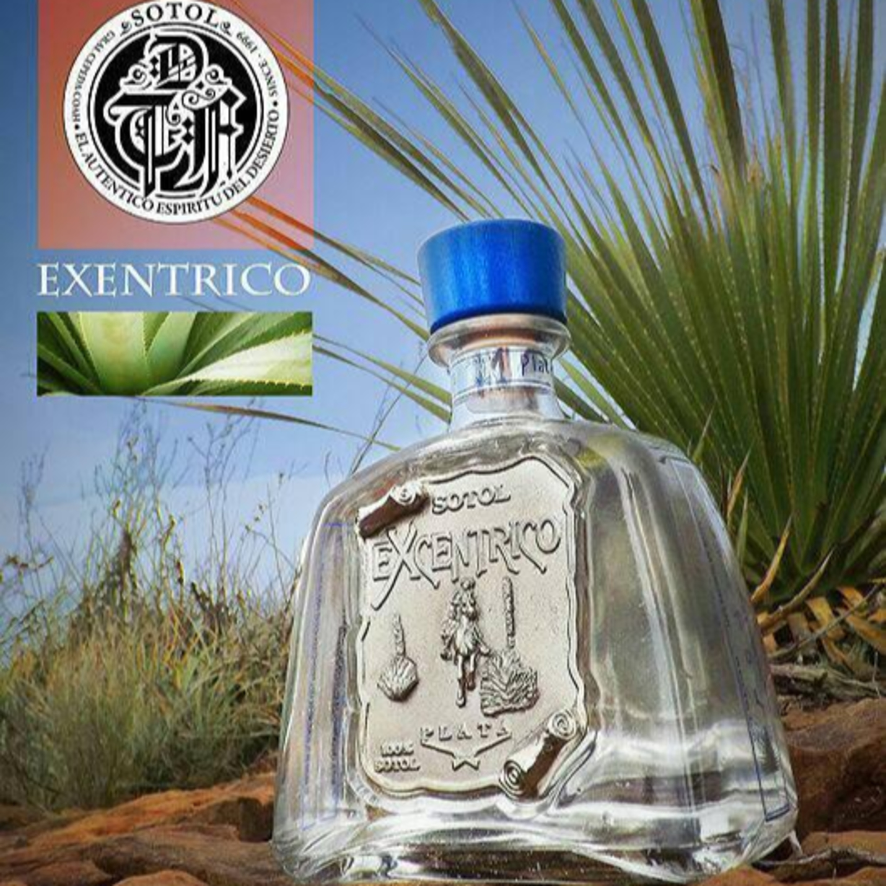 Agaveculture. The Agave and sotol lessons and Mexican gastronomy. A+ work © Ana G. Valenzuela-Zapata