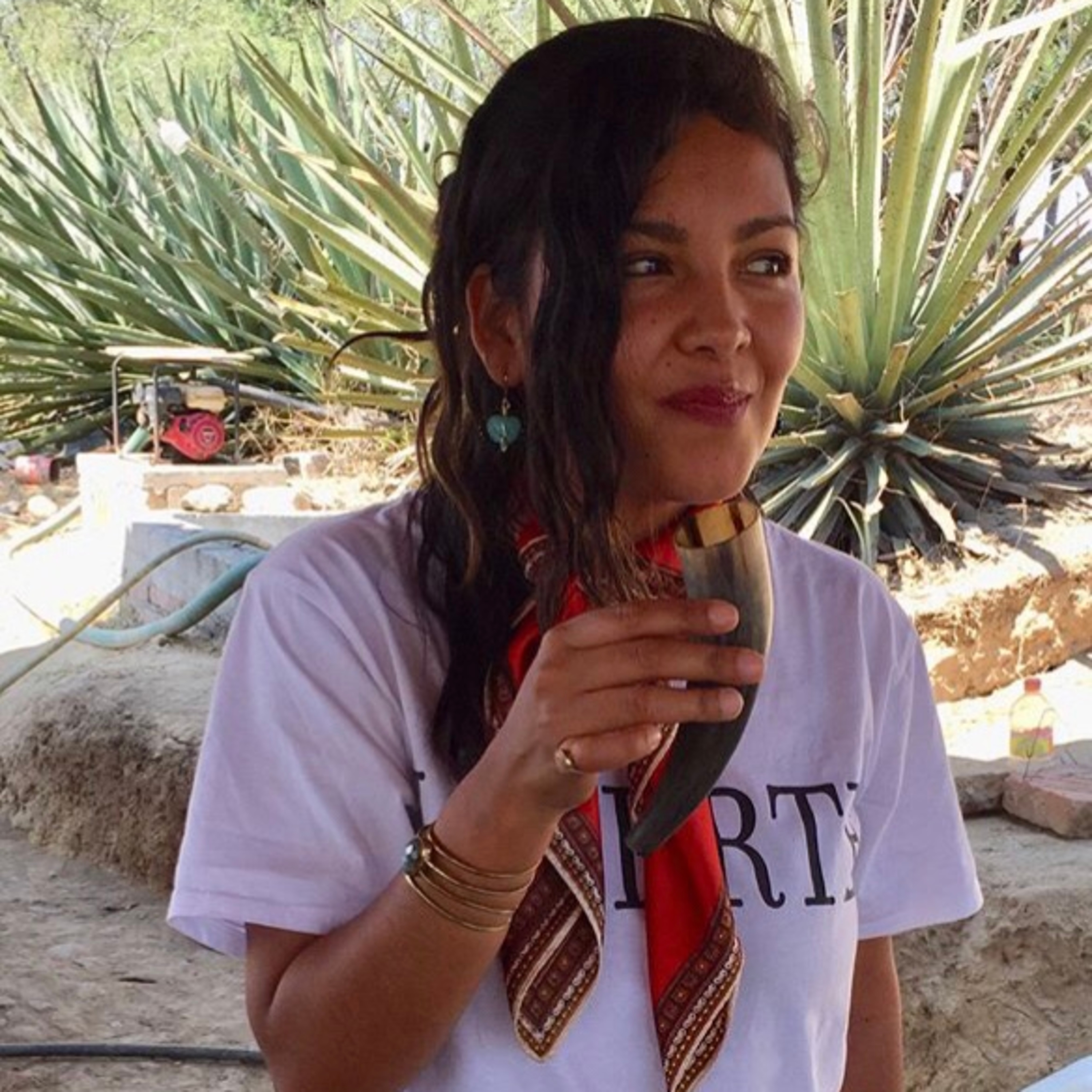 Agaveculture. The Agave and sotol lessons and Mexican gastronomy. A+ work © Ana G. Valenzuela-Zapata