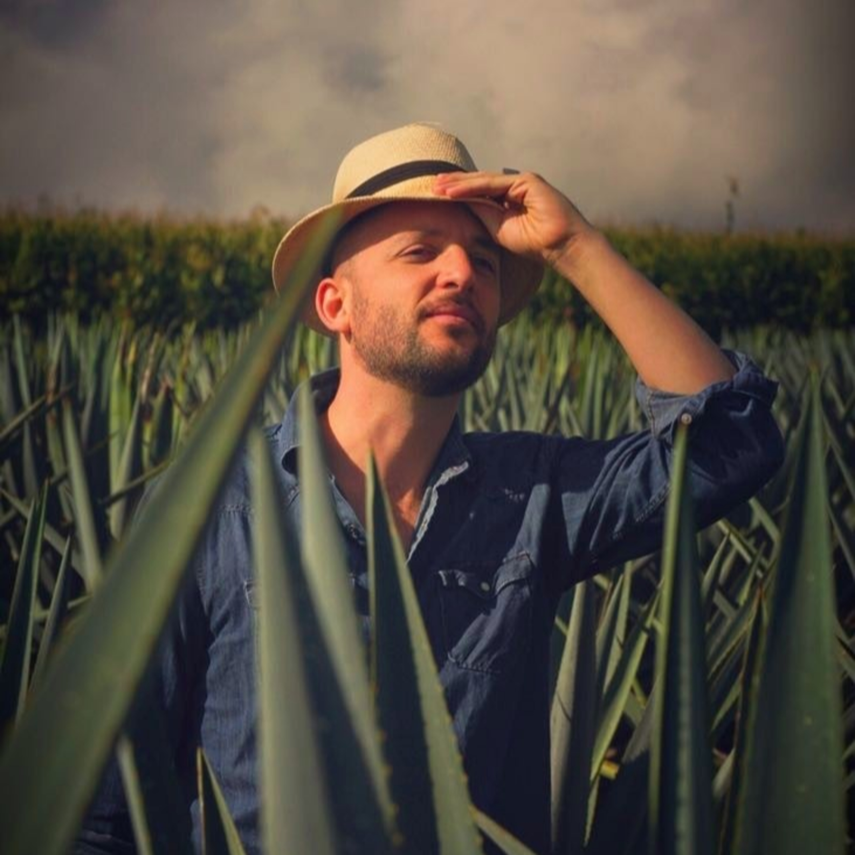 Agaveculture. The Agave and sotol lessons and Mexican gastronomy. A+ work © Ana G. Valenzuela-Zapata