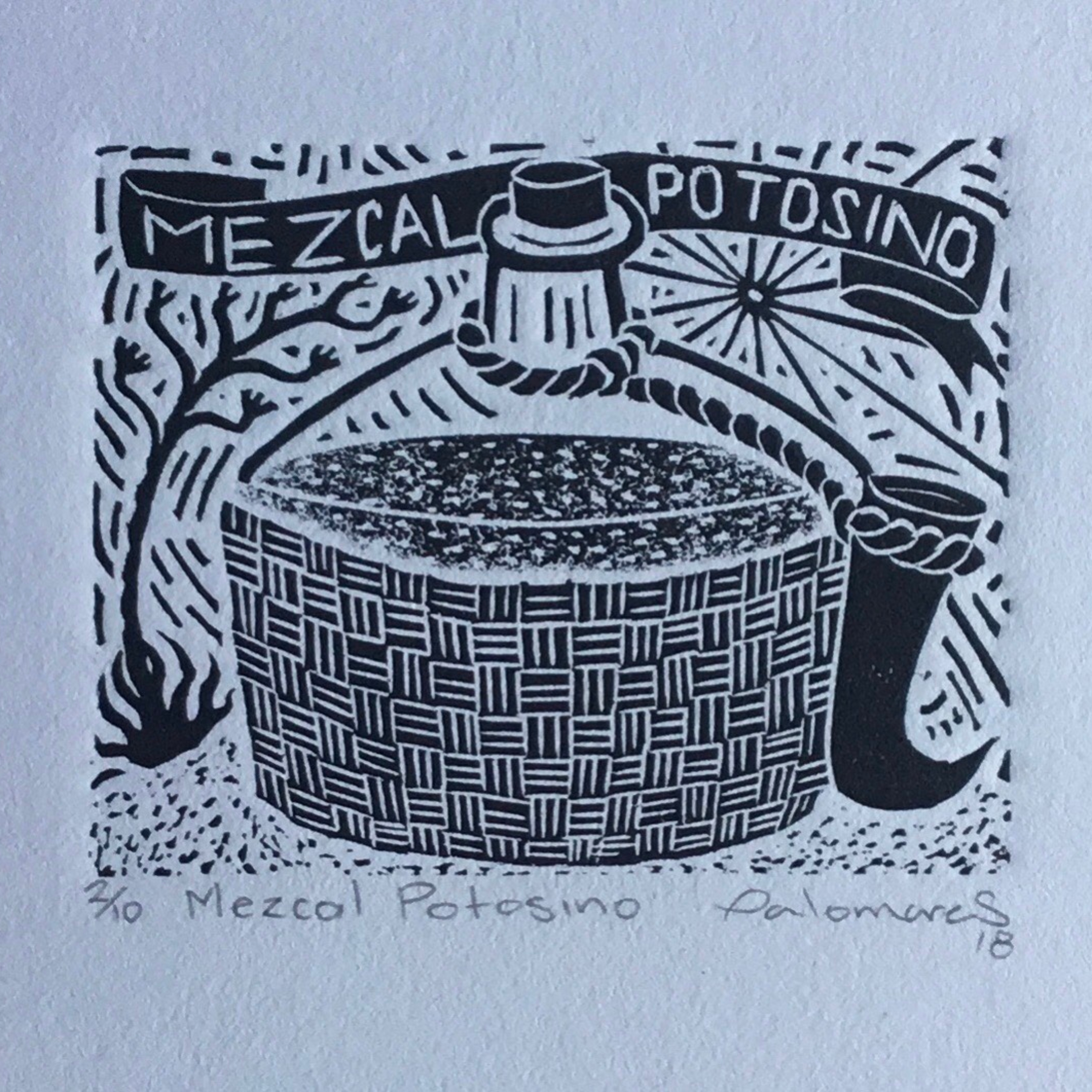 Agaveculture. The Agave and sotol lessons and Mexican gastronomy. A+ work © Ana G. Valenzuela-Zapata