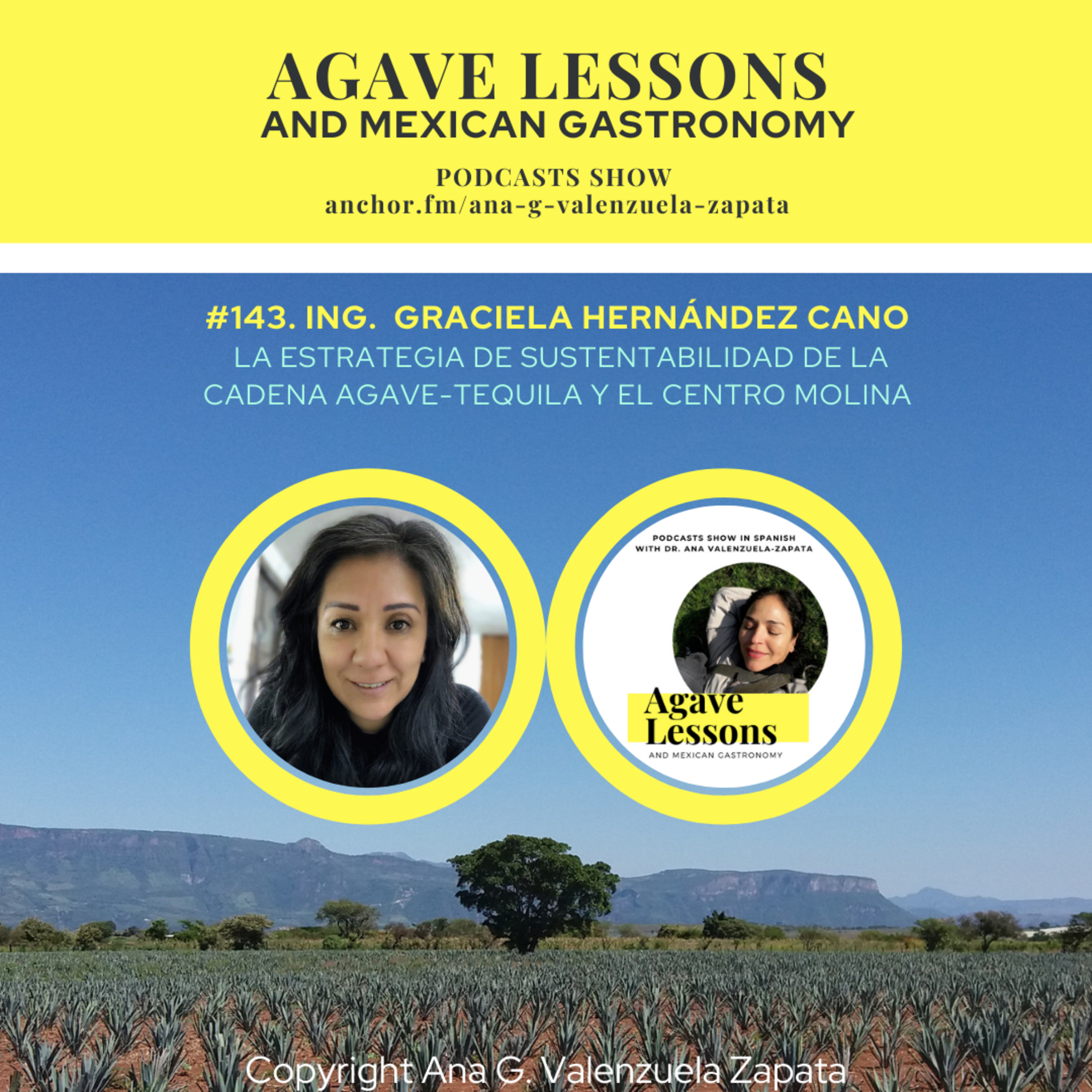 Agaveculture. The Agave and sotol lessons and Mexican gastronomy. A+ work © Ana G. Valenzuela-Zapata