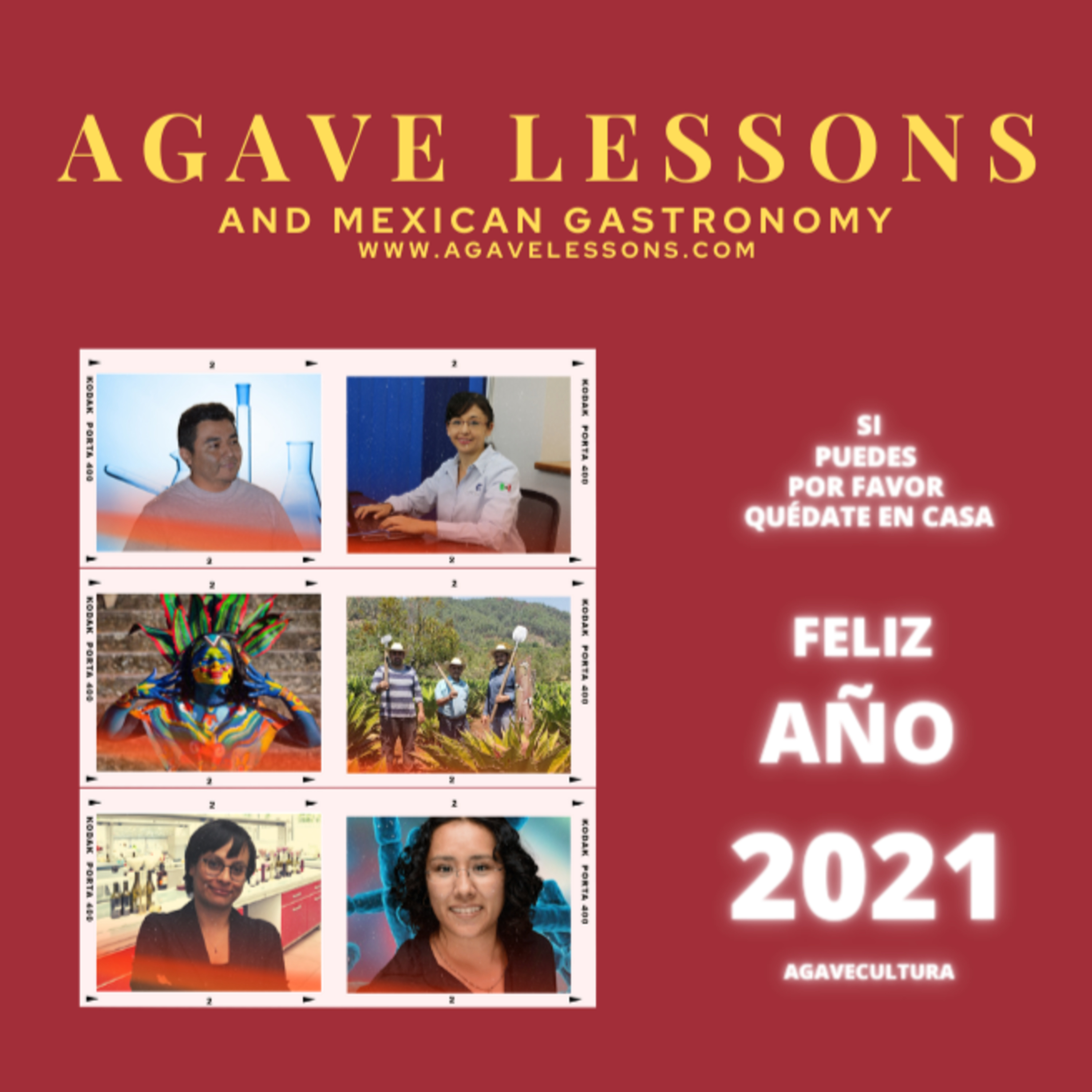 Agaveculture. The Agave and sotol lessons and Mexican gastronomy. A+ work © Ana G. Valenzuela-Zapata