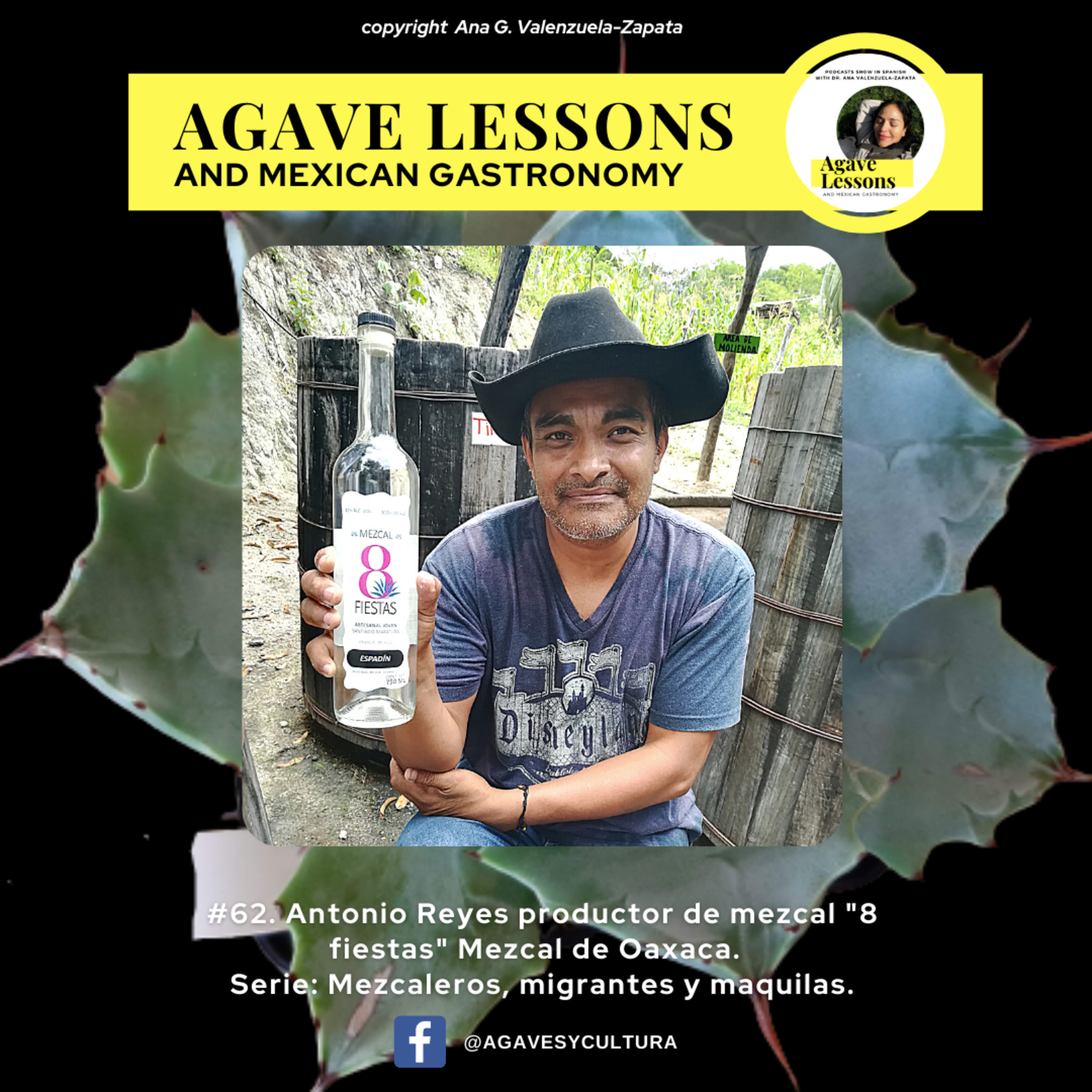 Agaveculture. The Agave and sotol lessons and Mexican gastronomy. A+ work © Ana G. Valenzuela-Zapata