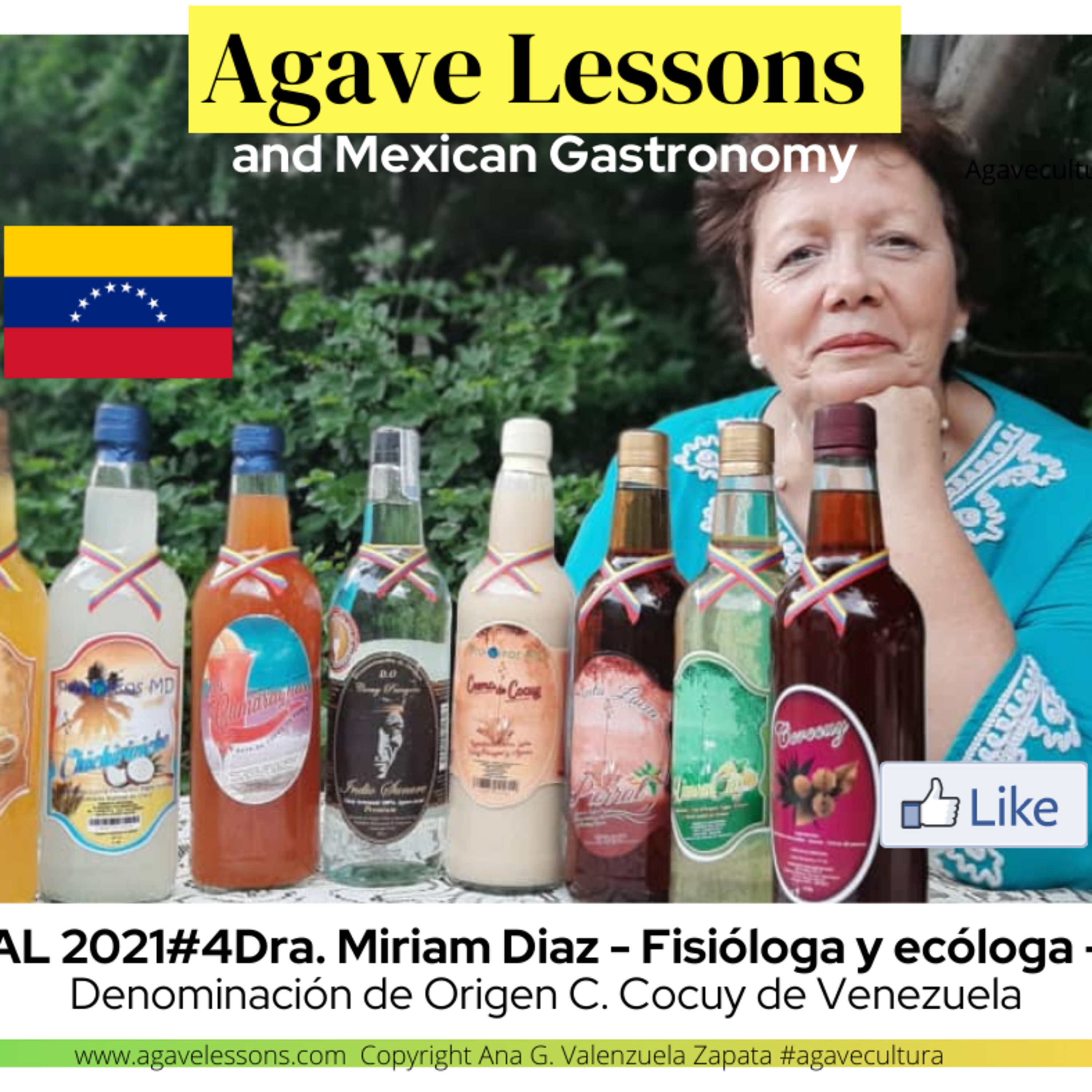 Agaveculture. The Agave and sotol lessons and Mexican gastronomy. A+ work © Ana G. Valenzuela-Zapata