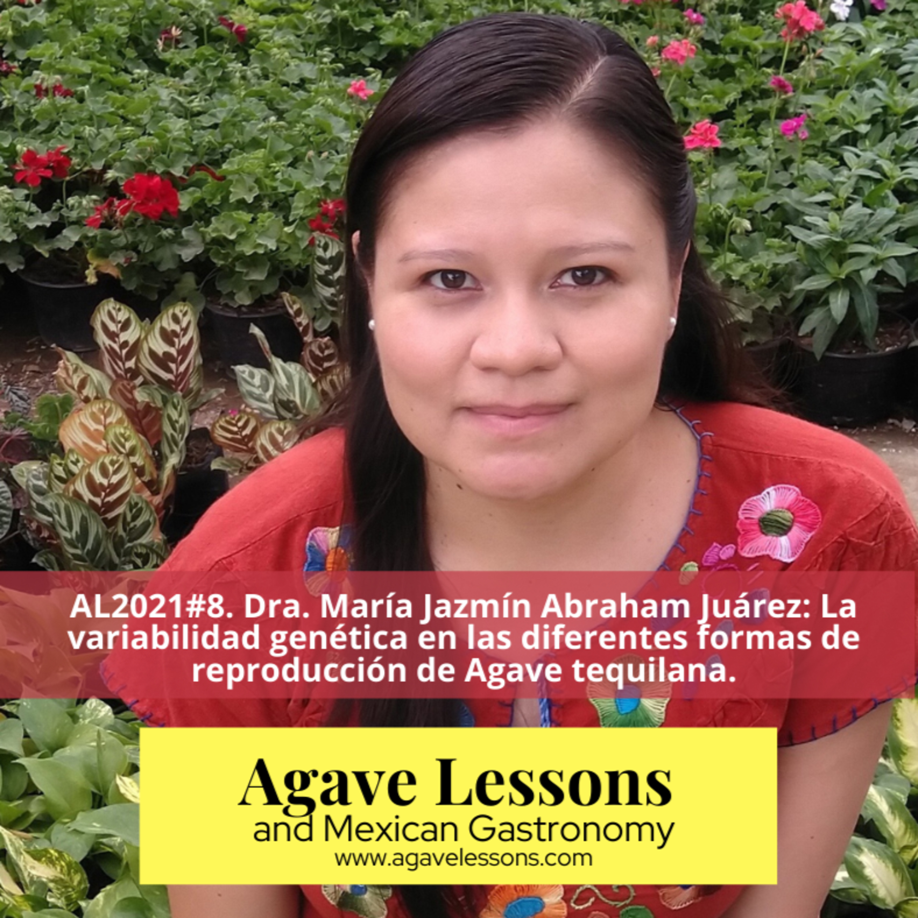 Agaveculture. The Agave and sotol lessons and Mexican gastronomy. A+ work © Ana G. Valenzuela-Zapata