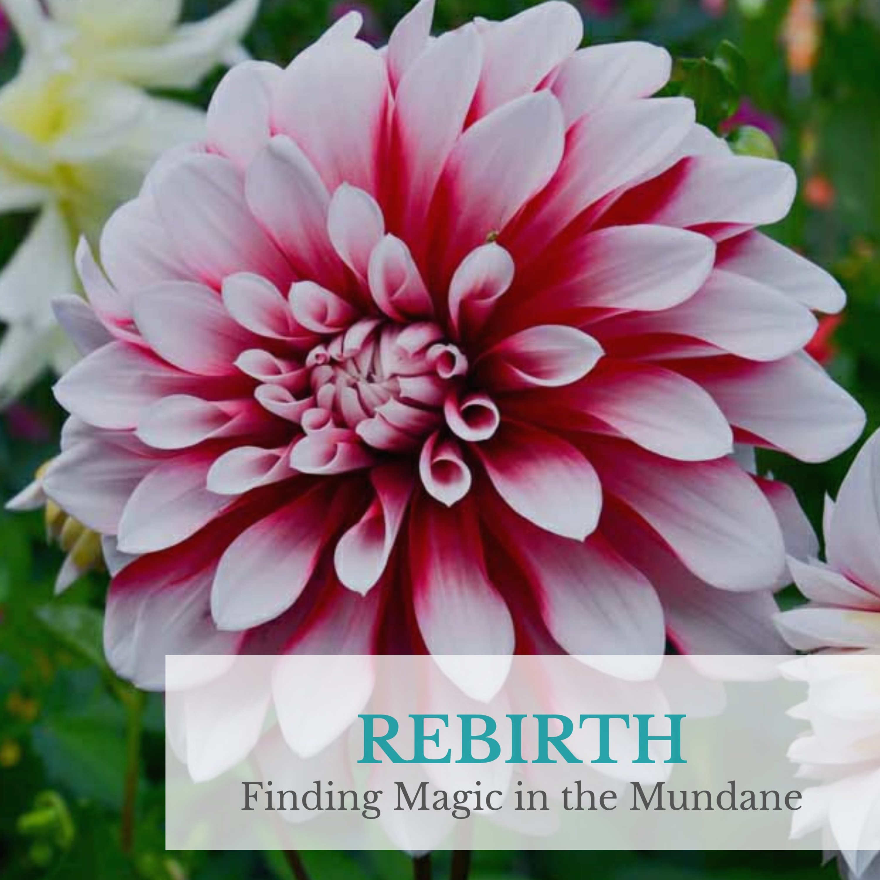 Rebirth