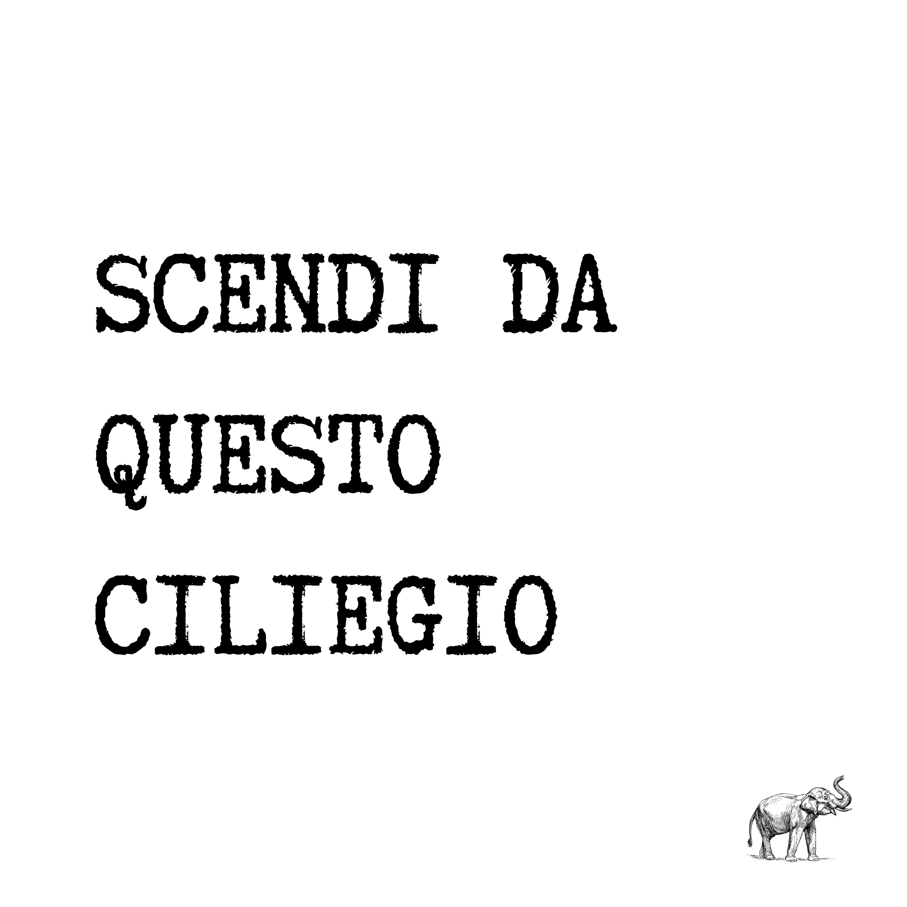 Si dice che